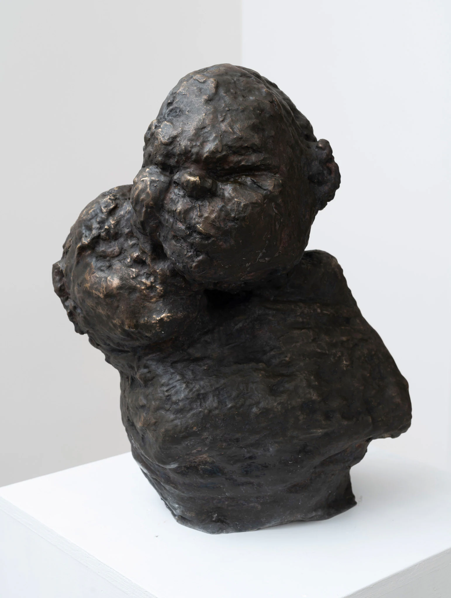 Eva Beresin, Determined sights of nature, 2026, Bronze, 20 7/8 × 18 1/8 × 15 3/4 in ; 53 × 46 × 40 cm
