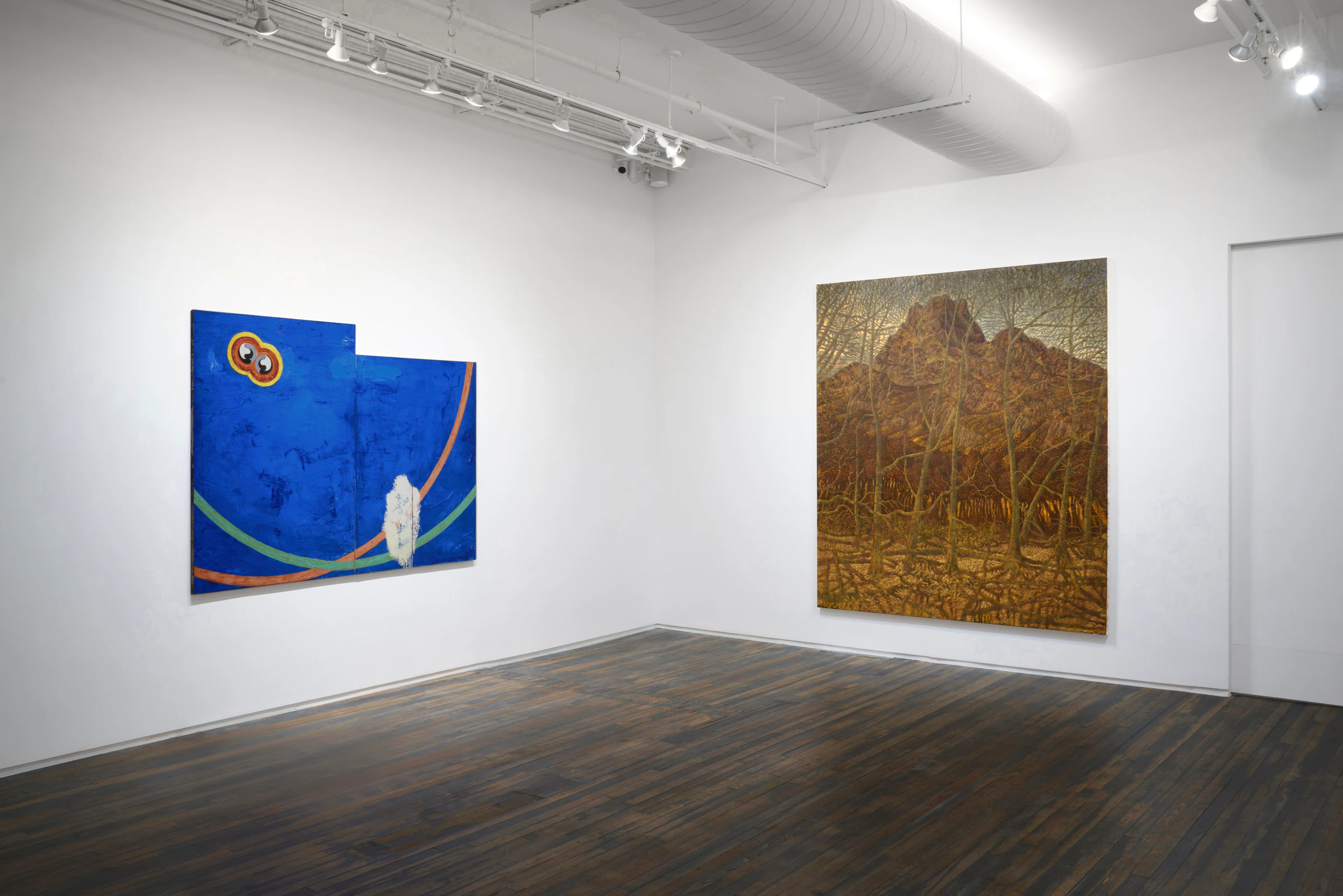 Waking Life, installation view