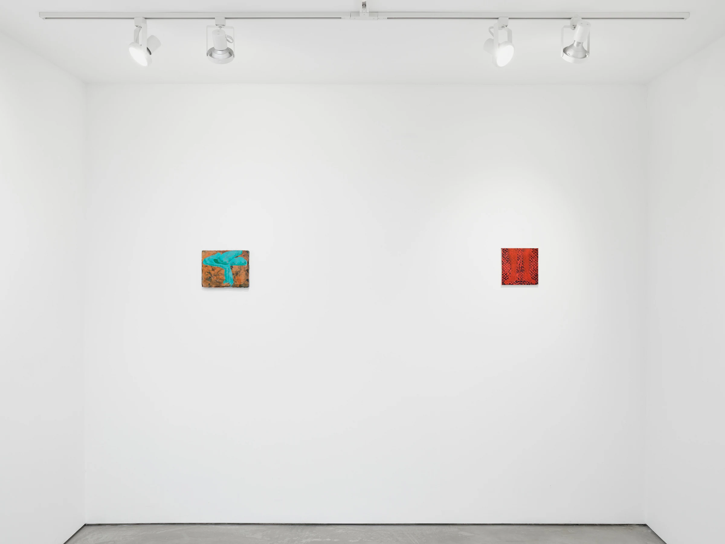 Adrian Schachter: I'm drawn that way, installation view