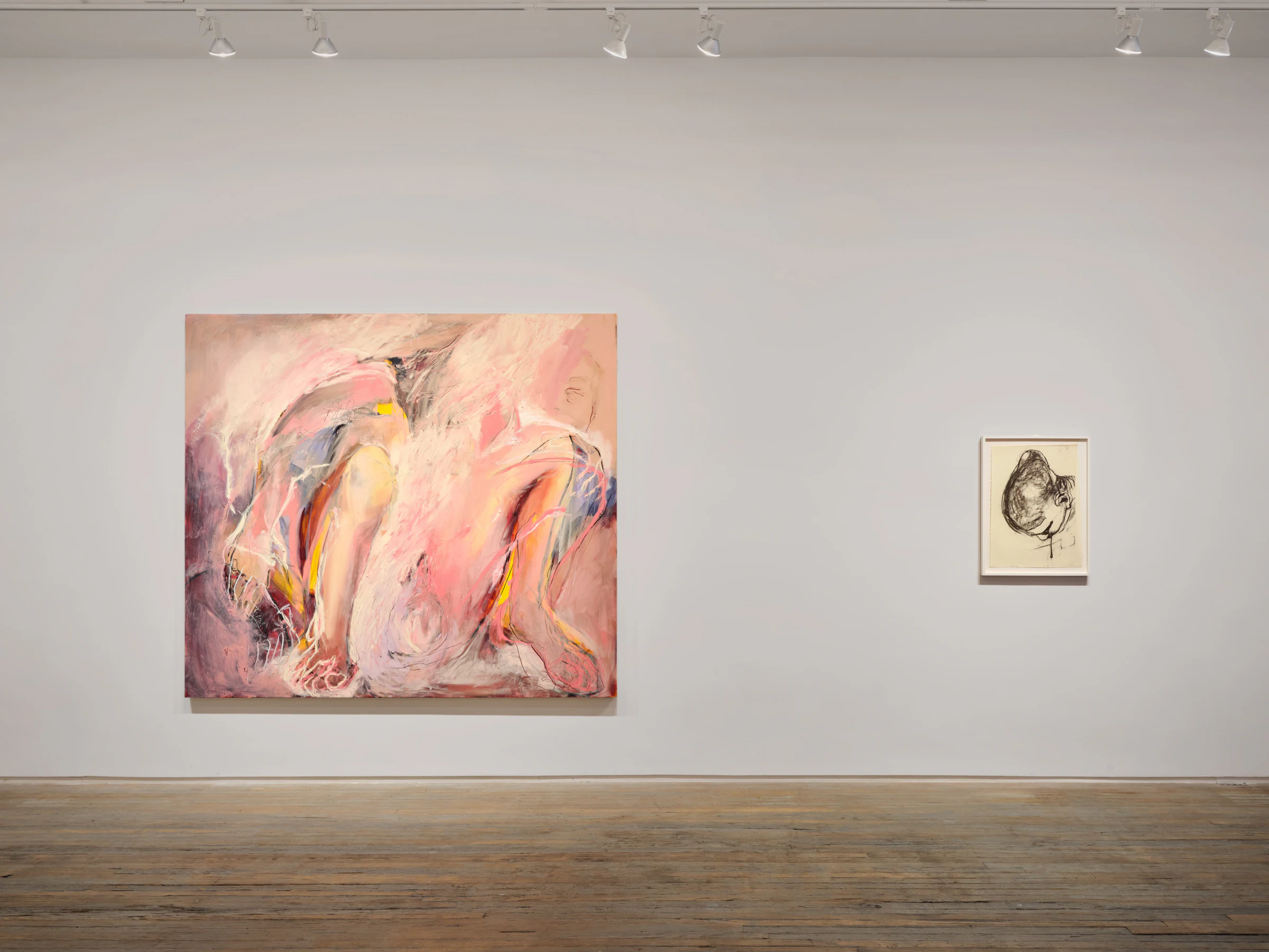 Mercedes Llanos: Te Soñé Primero, installation view