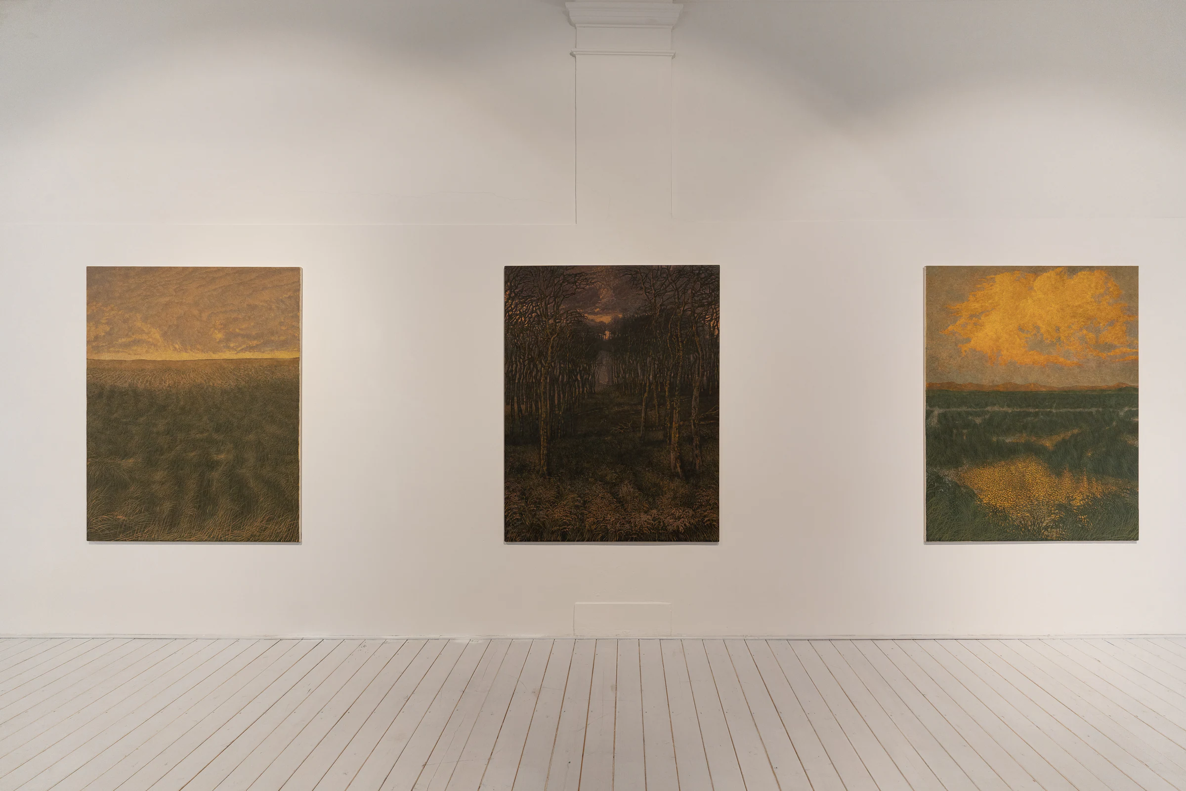 Francesco Cima: Chi Semina Vento, installation view
