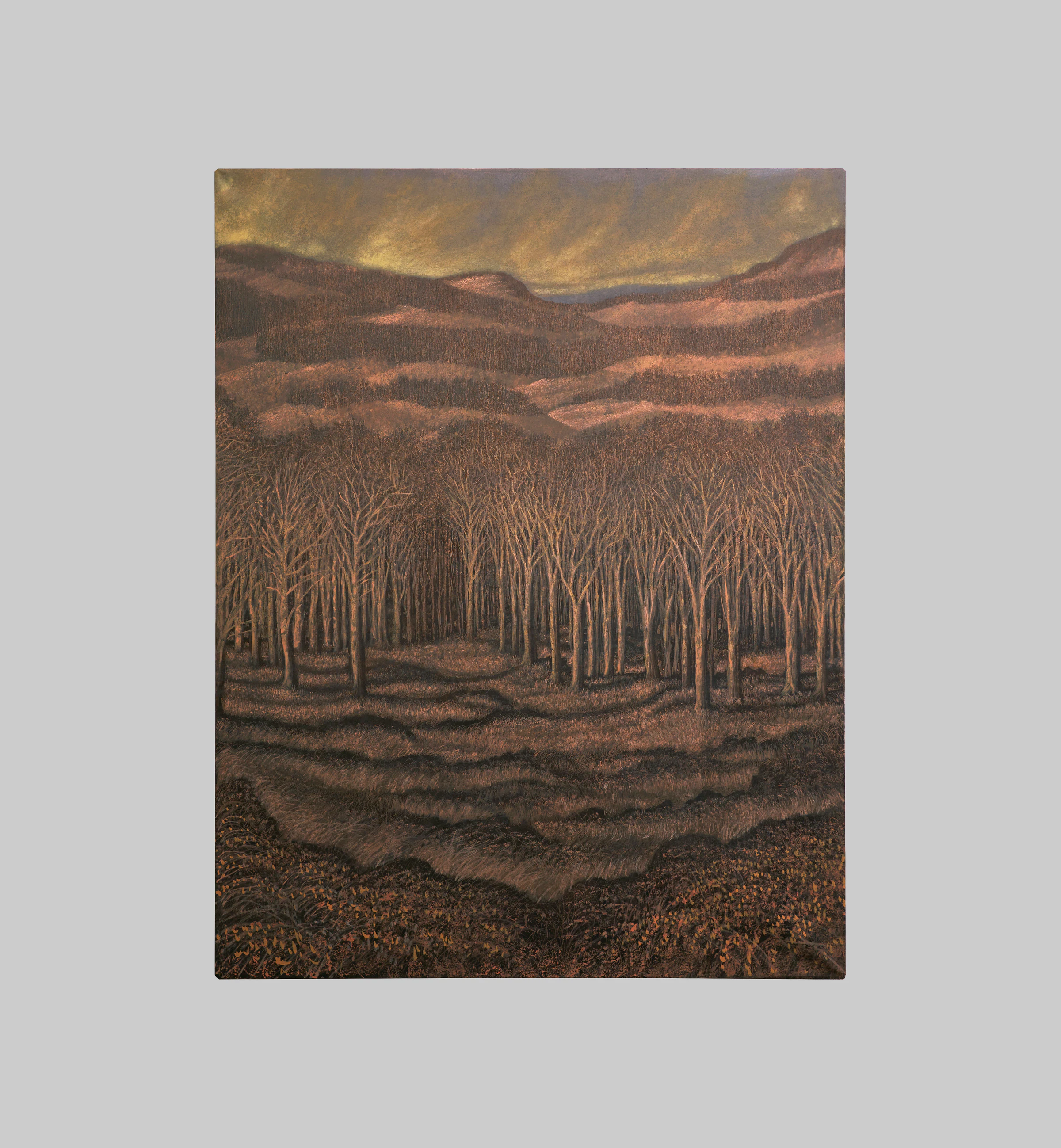 Francesco Cima, Passo delle Radici, 2024, Oil on canvas, 70 7/8 x 55 1/8 in 180 x 140 cm