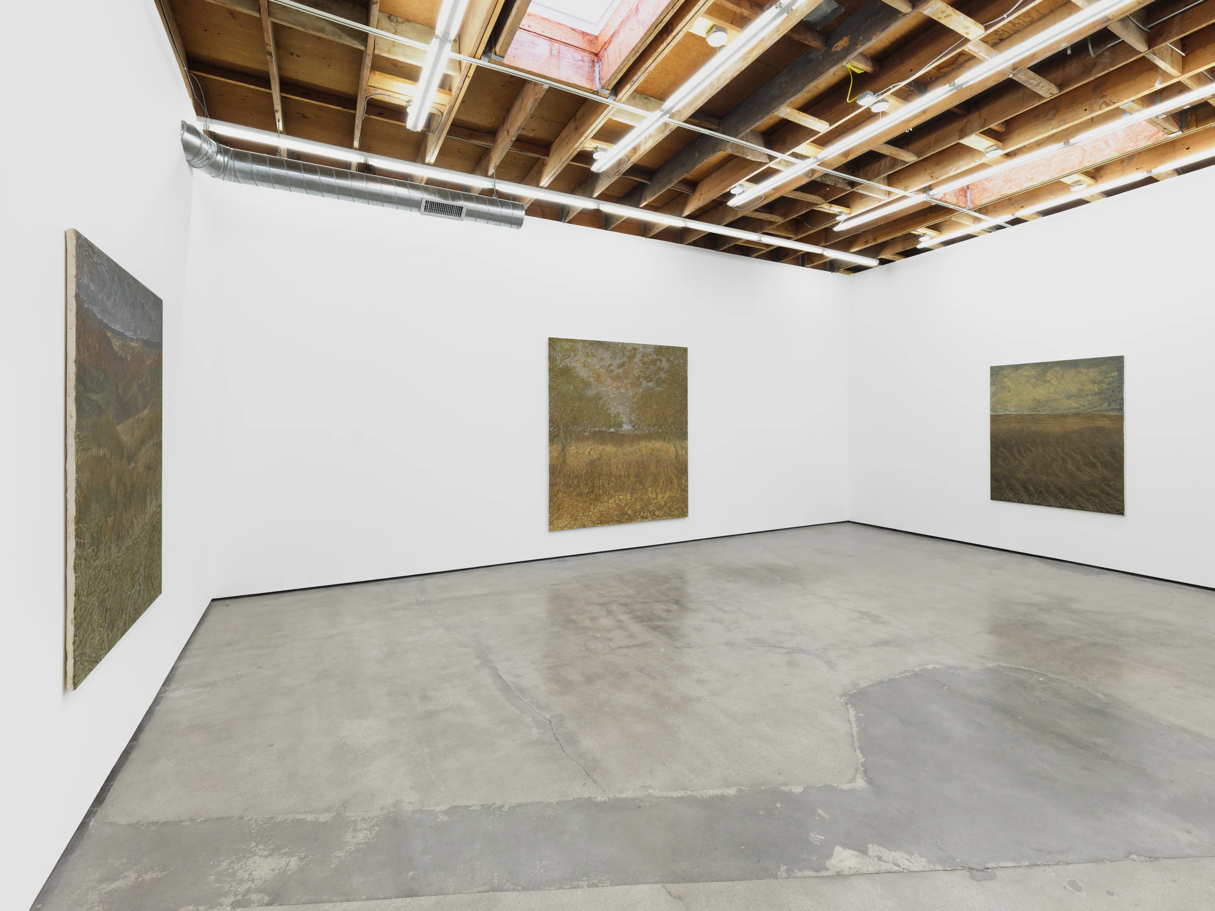 Francesco Cima: Ladra Terra, installation view