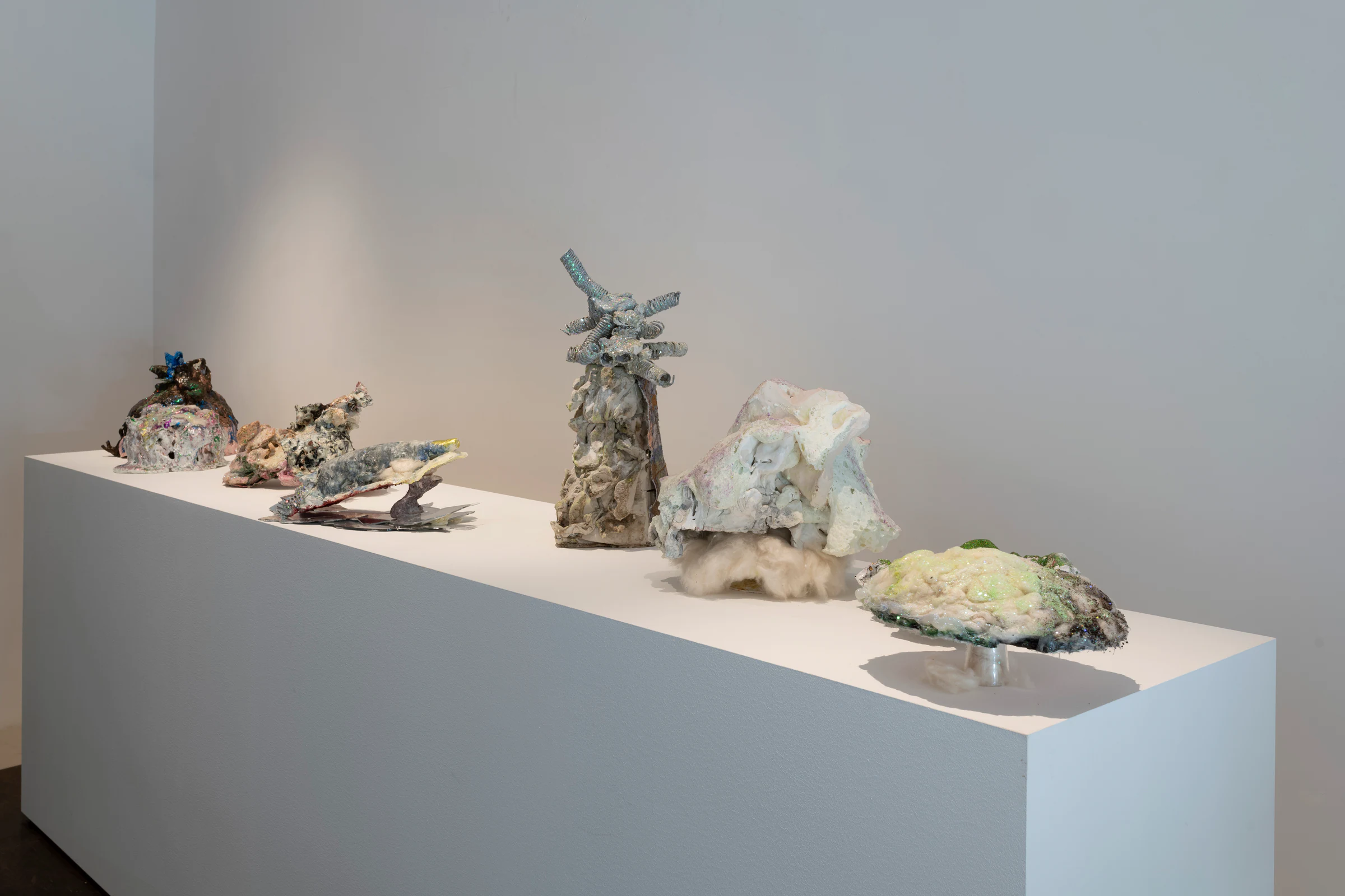 Coralla Maiuri: Verso Earendel, installation view