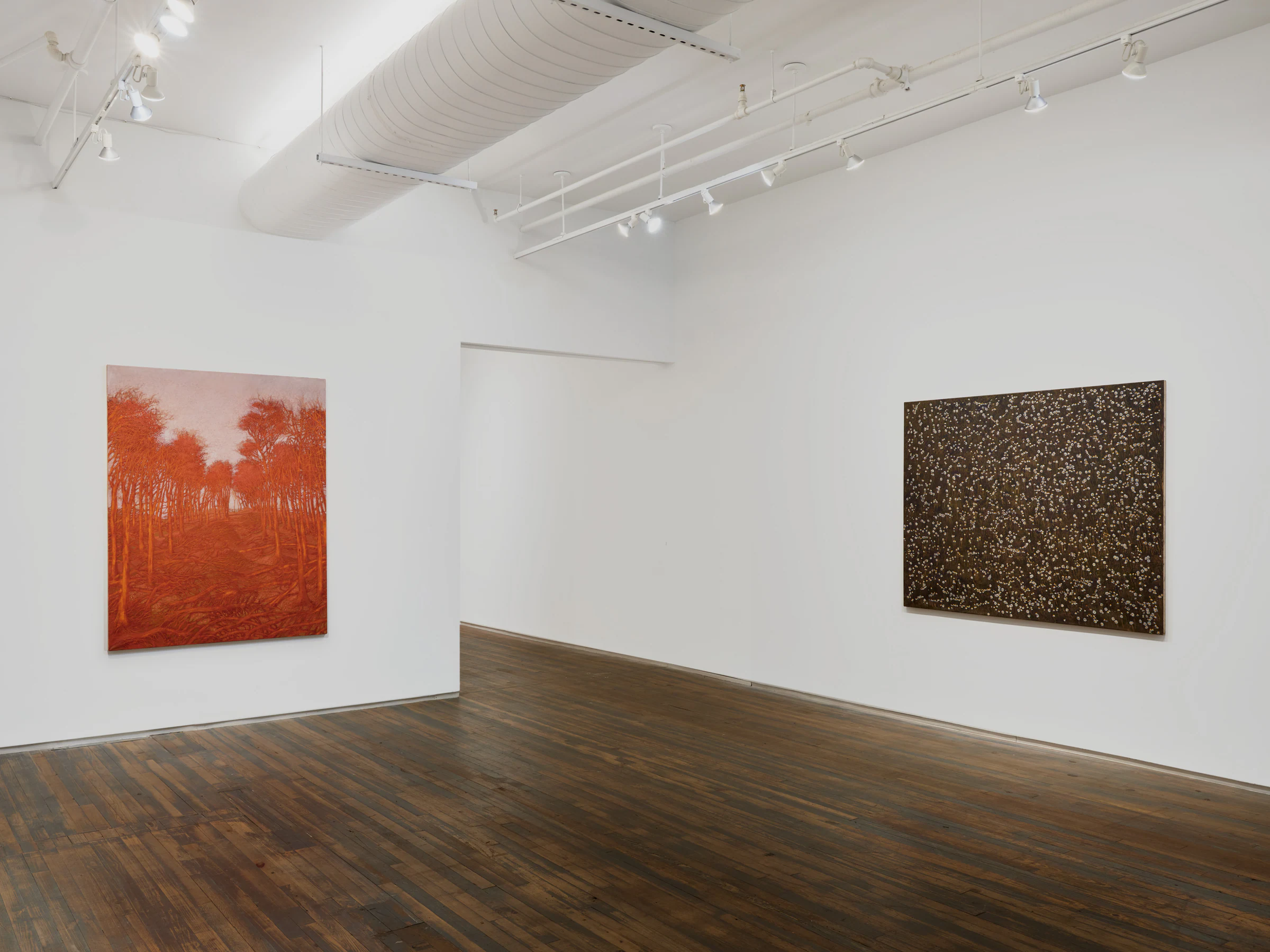 Francesco Cima: Vedrai, vedrai, installation view