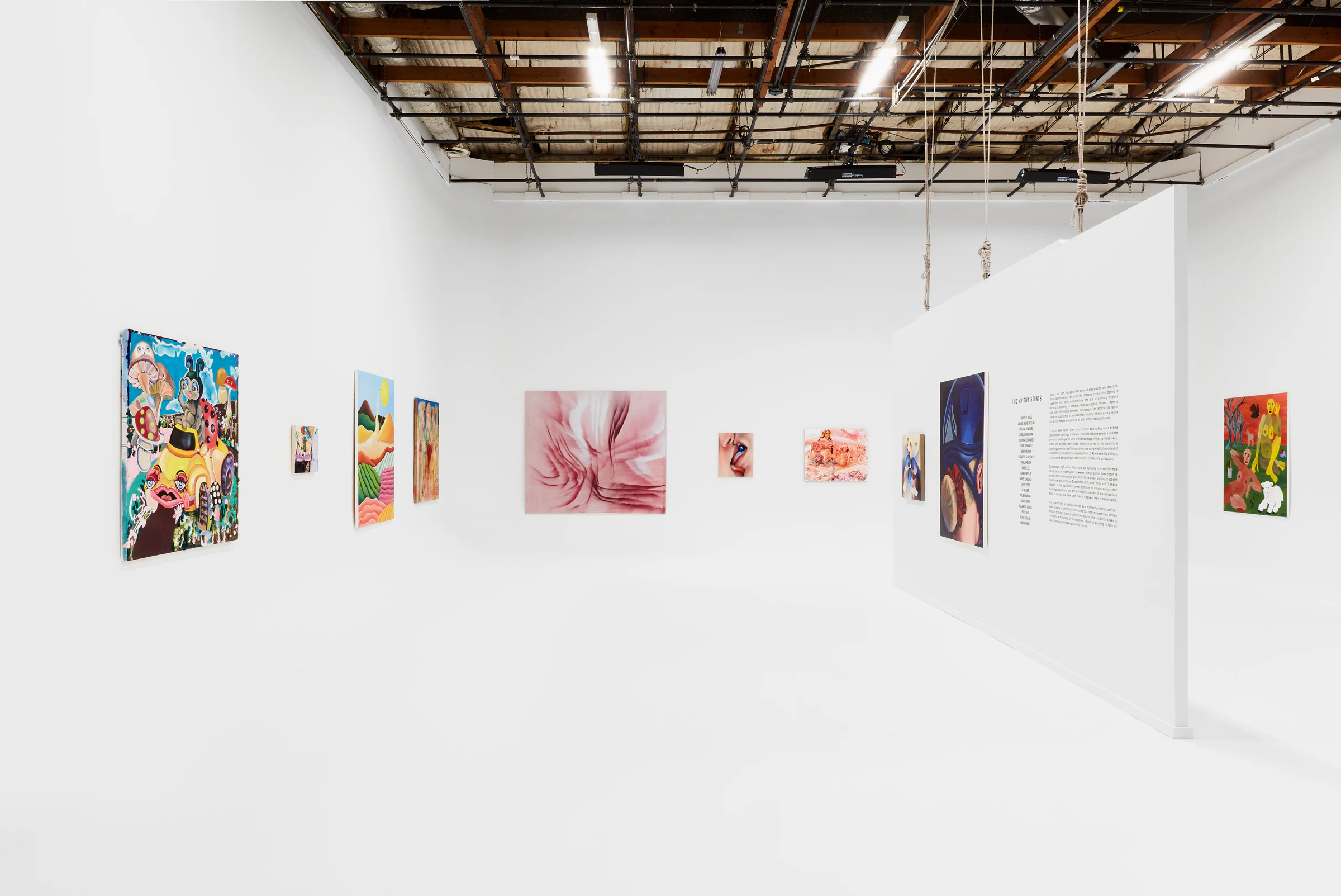 I Do My Own Stunts, installation view