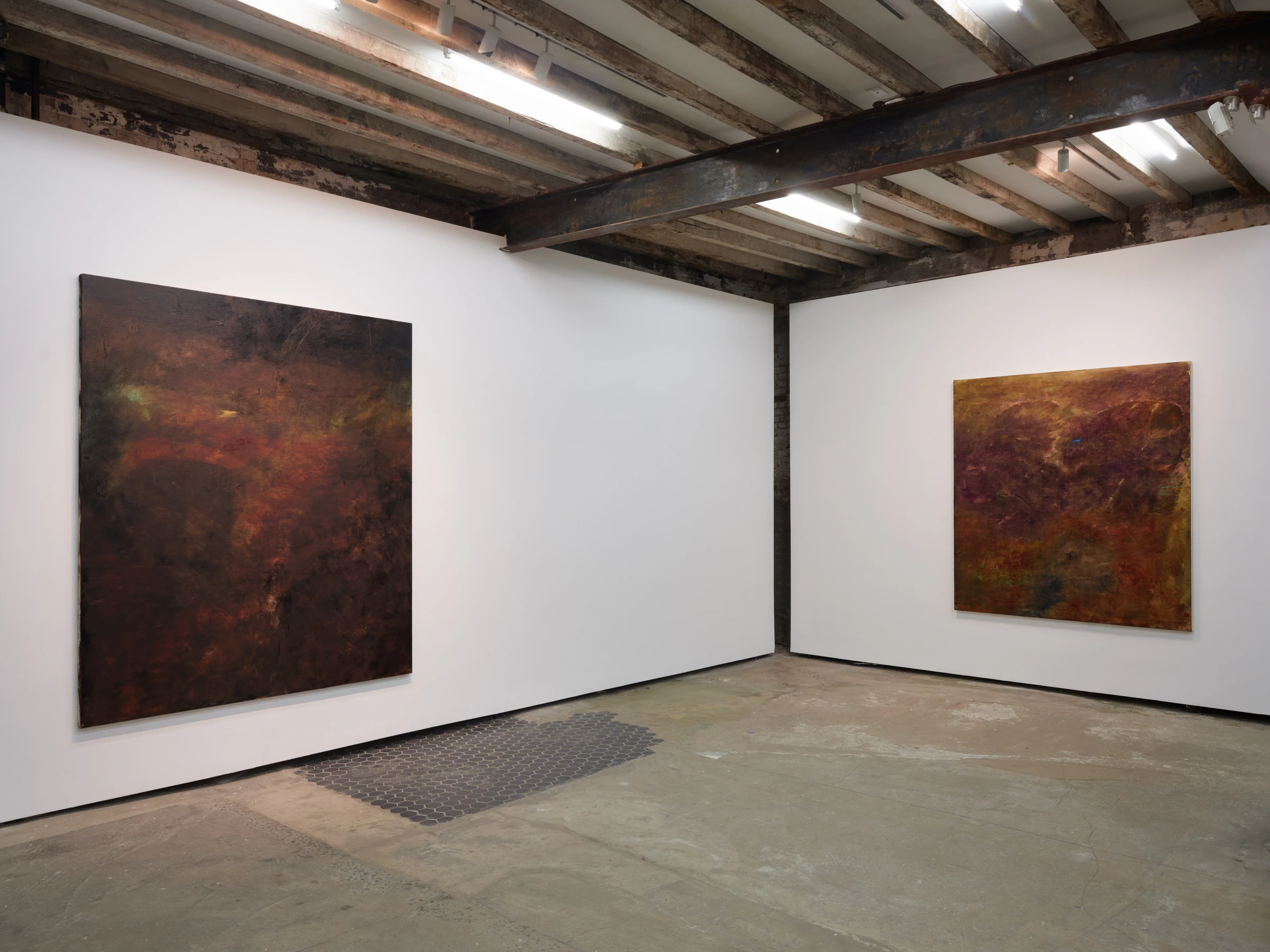 Nicholas Campbell: World-Honored One, installation view