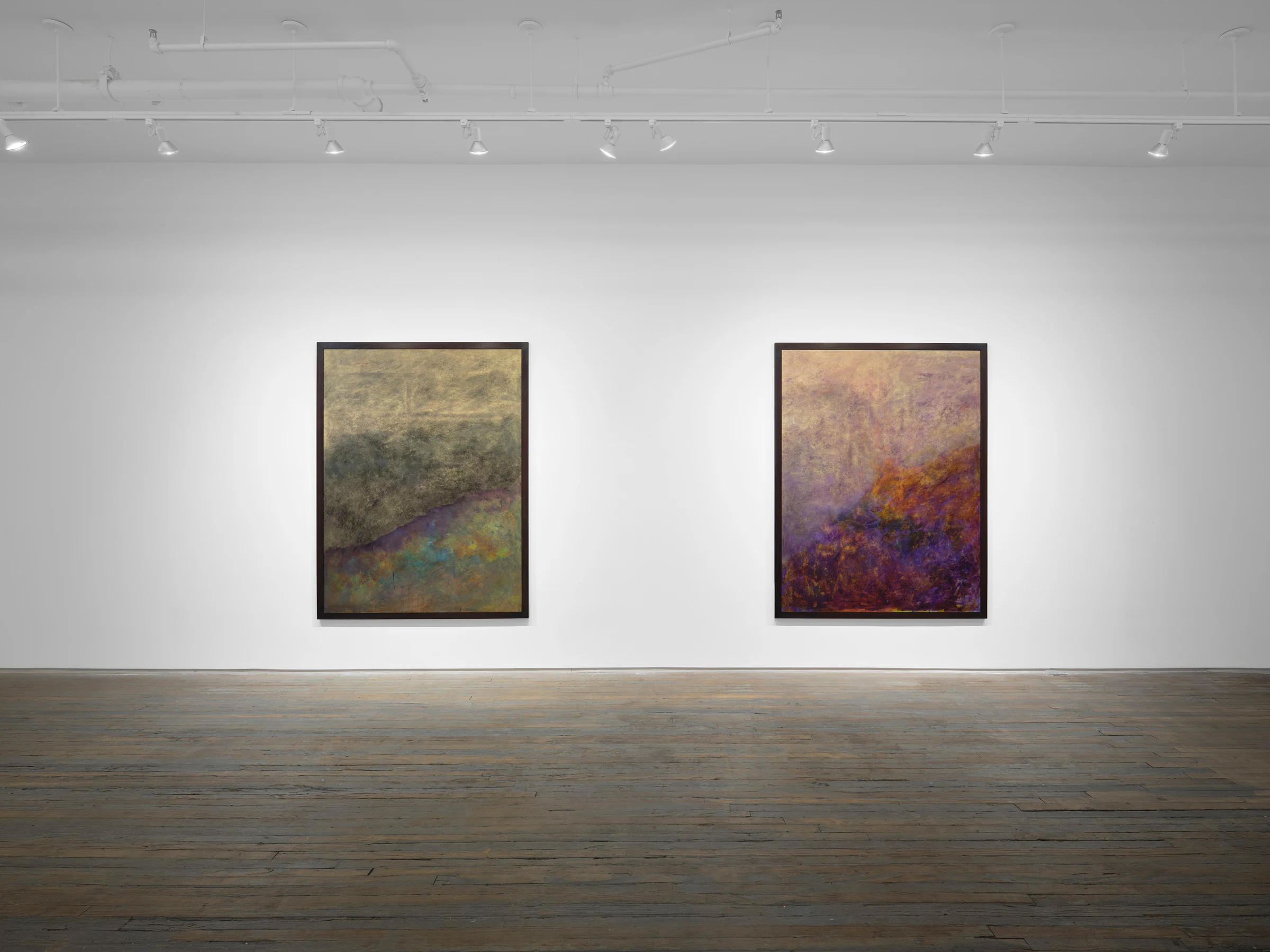 Nicholas Campbell: Paradise, installation view