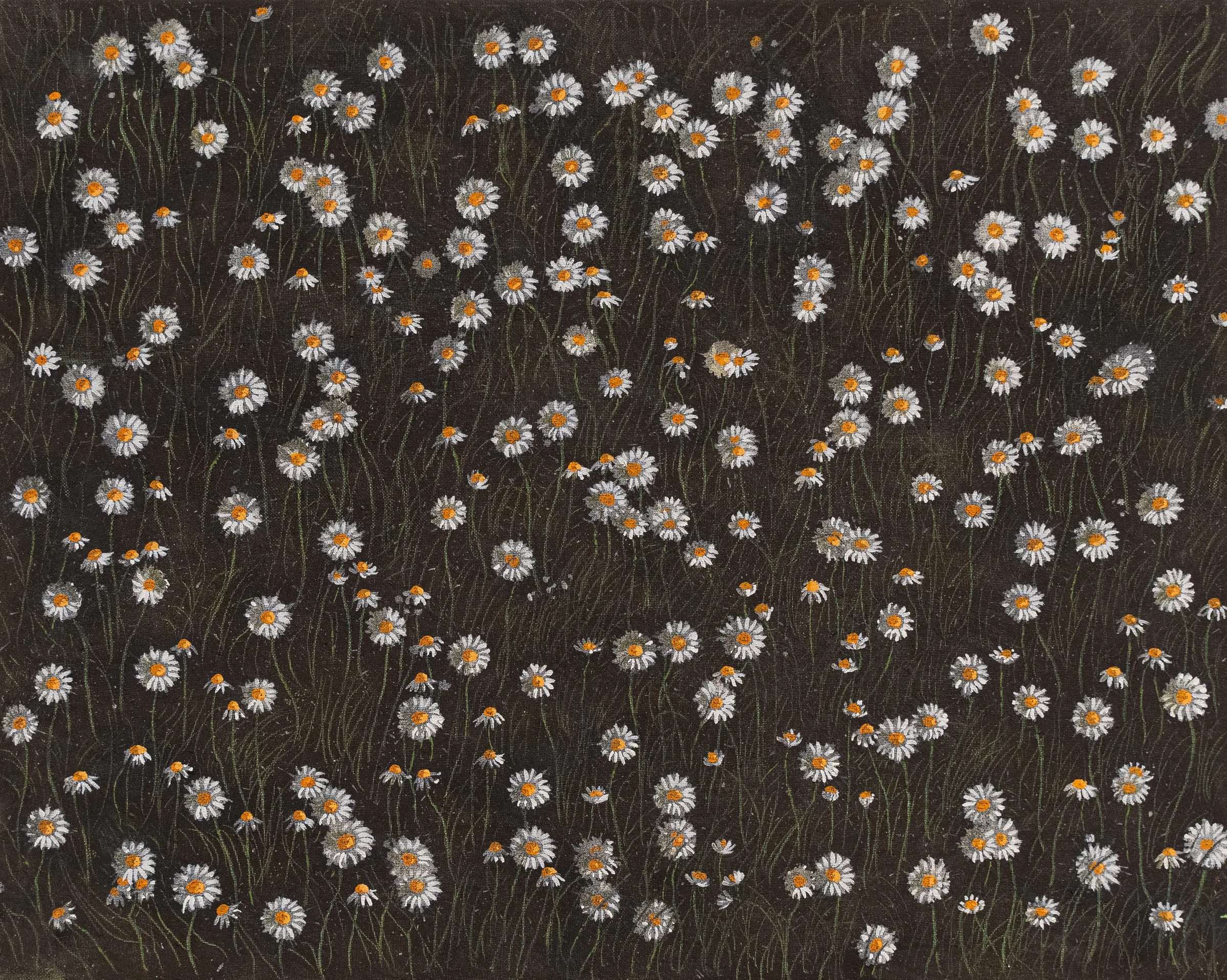 Margherite, 2023, Oil on canvas, 15 3/4 x 19 11/16 in 40 x 50 cm