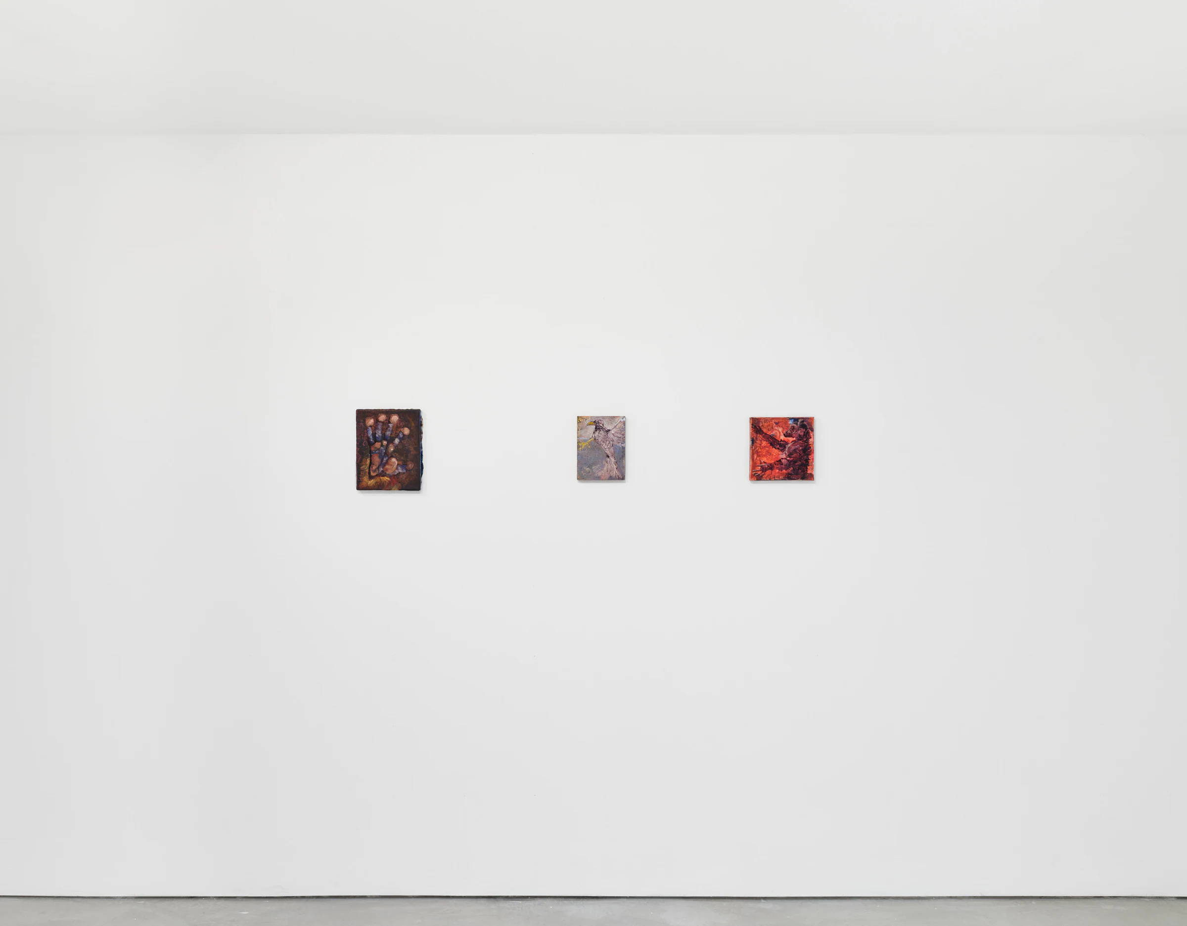 Adrian Schachter: I'm drawn that way, installation view