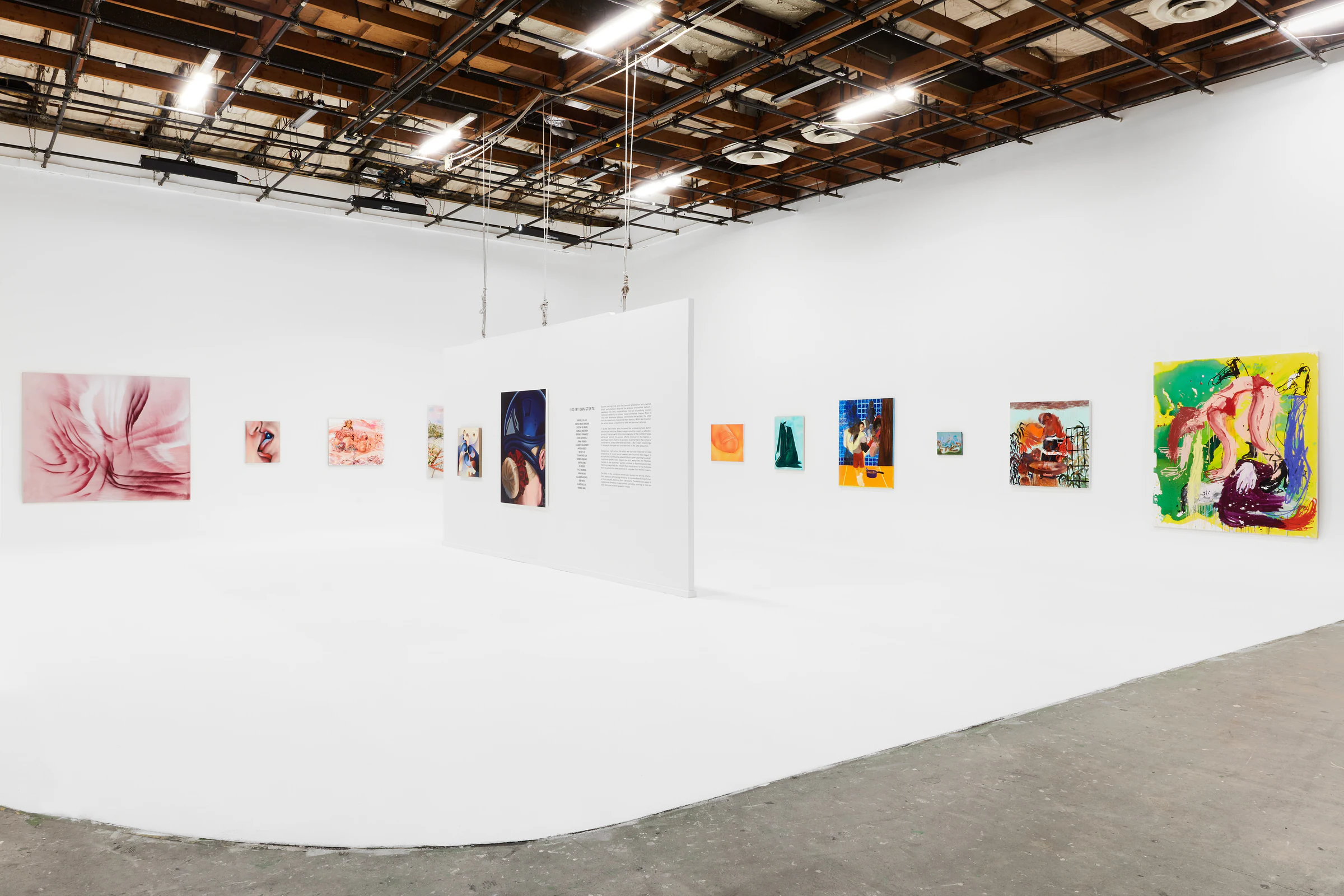 I Do My Own Stunts, installation view
