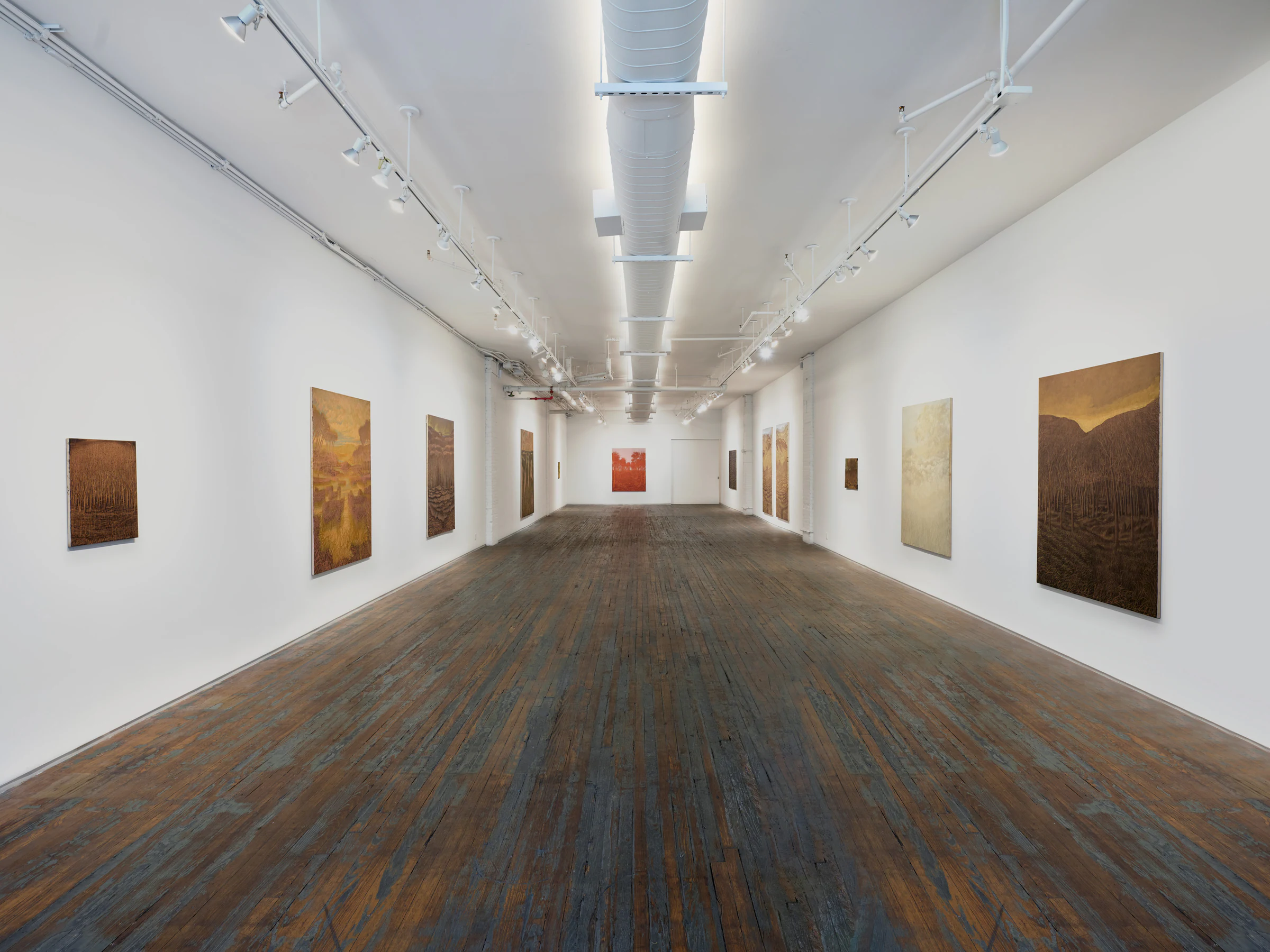 Francesco Cima: Vedrai, vedrai, installation view