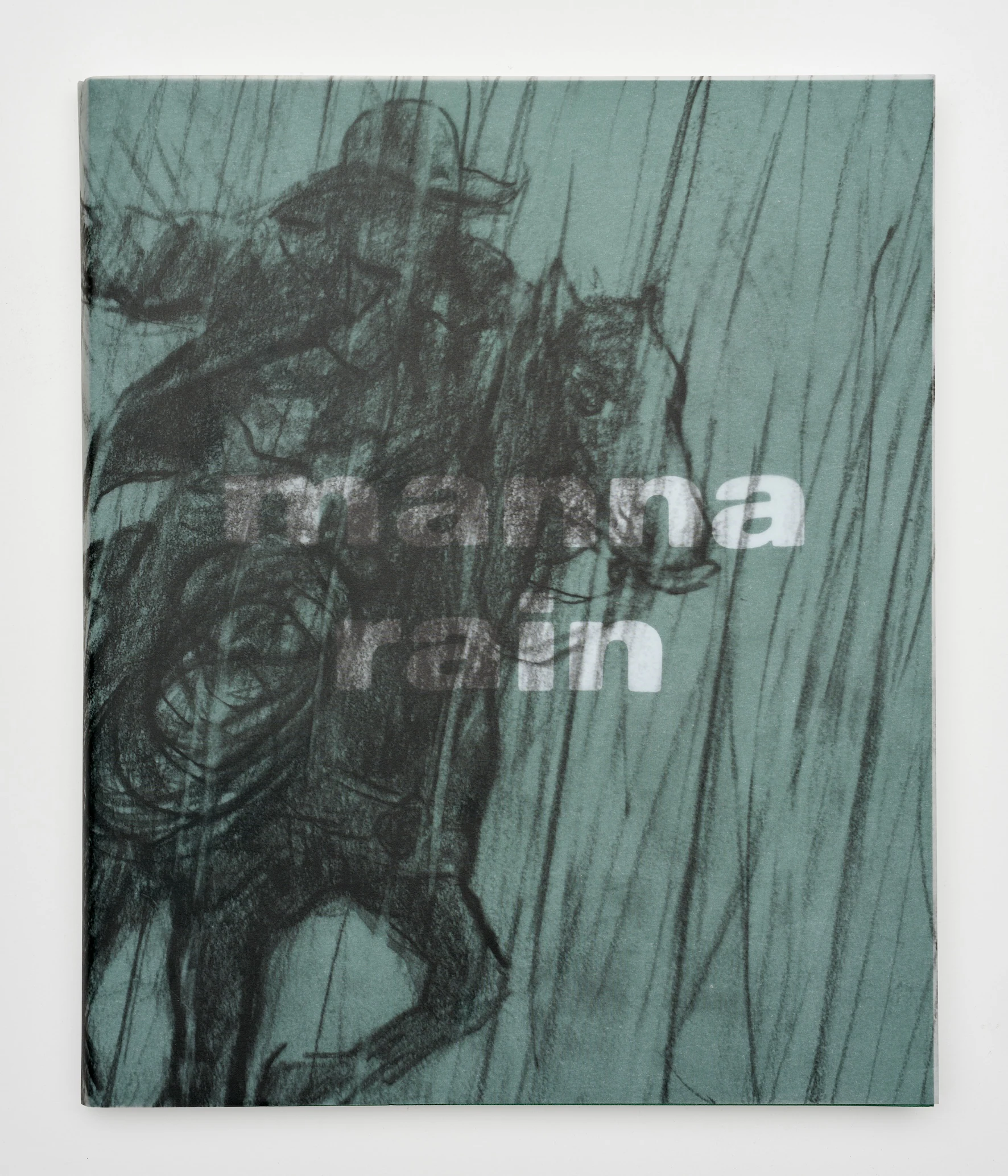 Rita Ackermann: Manna Rain