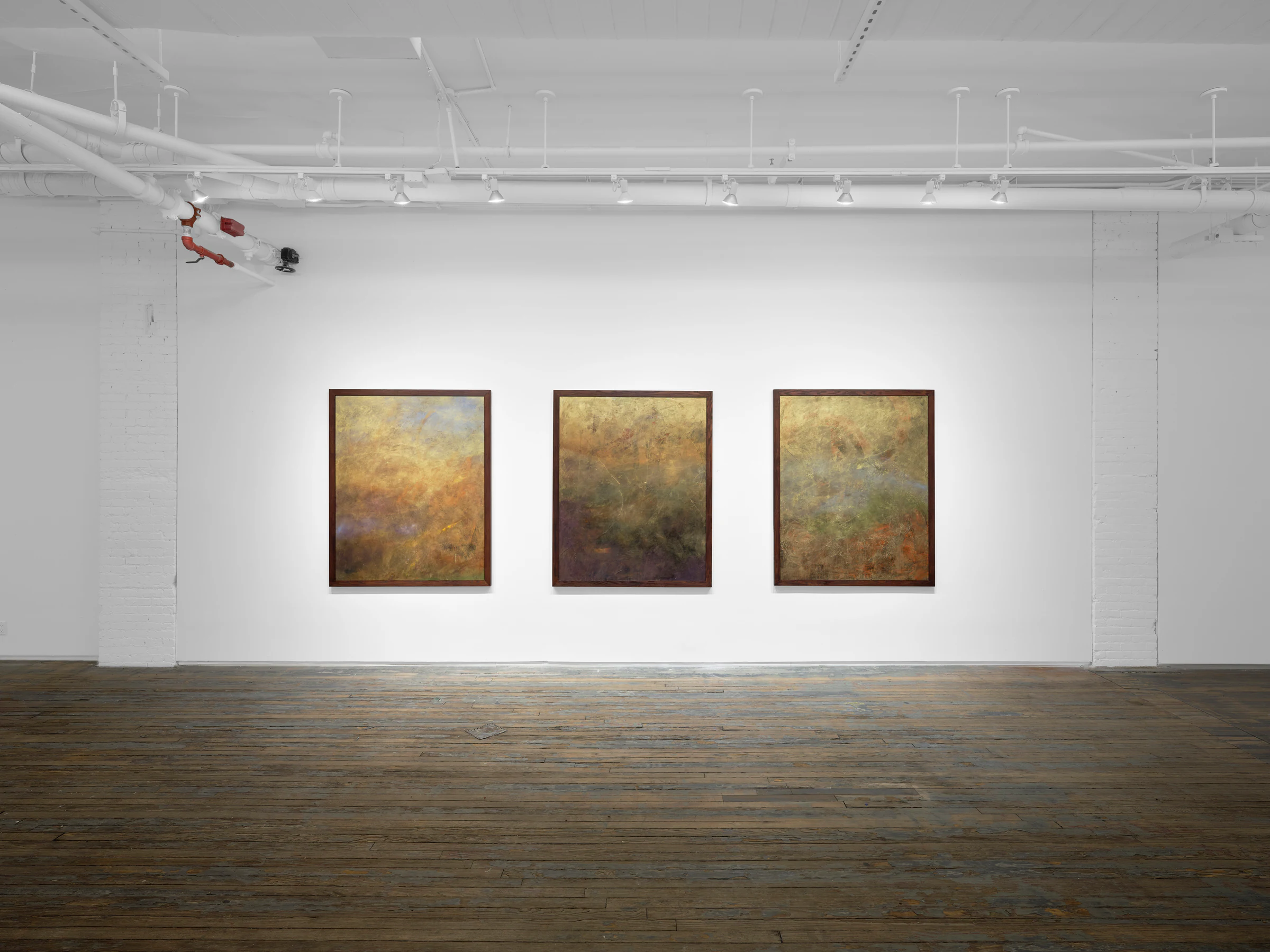 Nicholas Campbell: Paradise, installation view