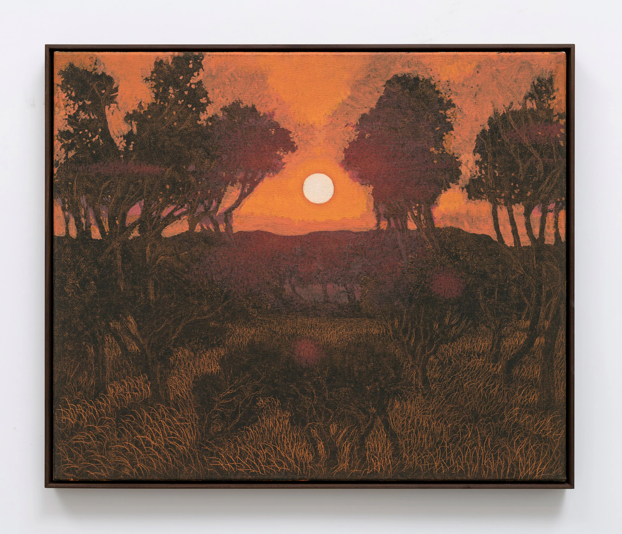 Francesco Cima, Sciacallo, 2026, Oil on canvas, 19 3/4 x 23 5/8 in 50 x 60 cm