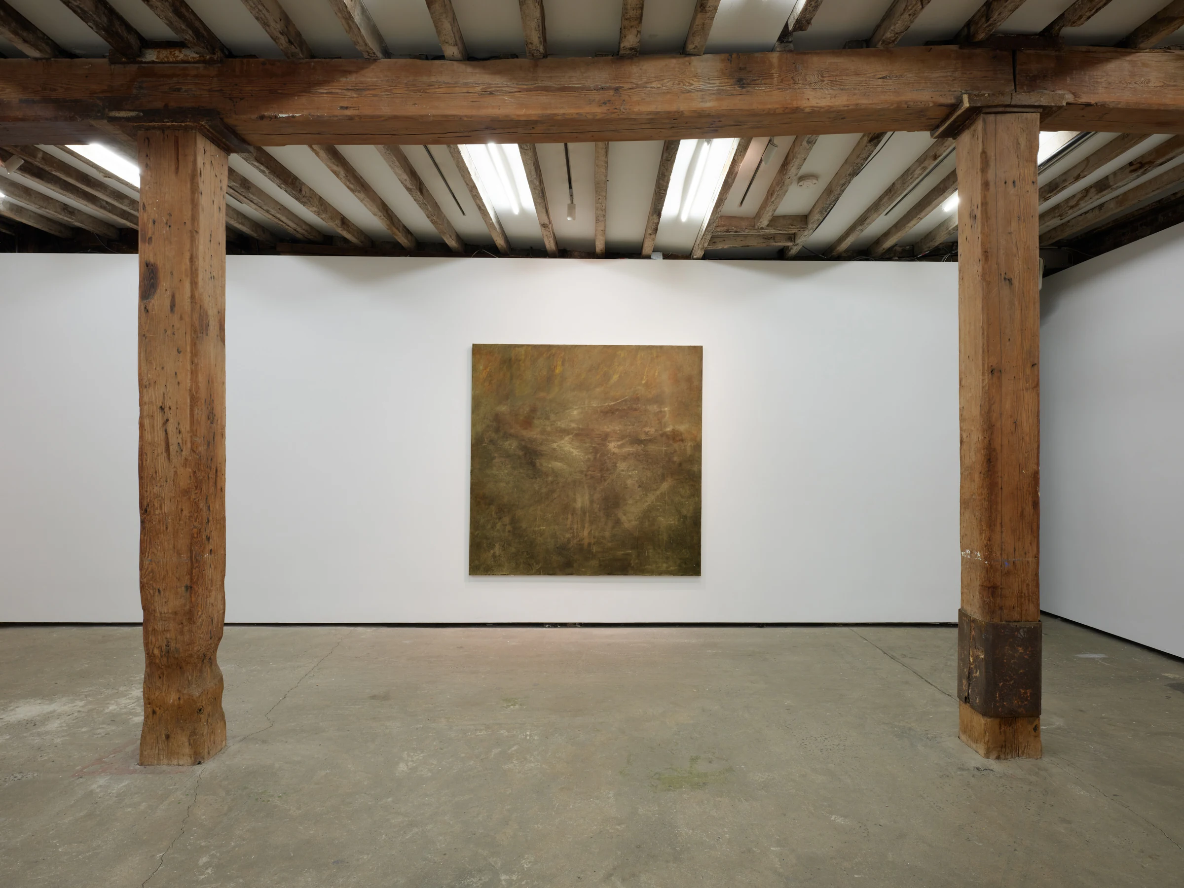 Nicholas Campbell: World-Honored One, installation view