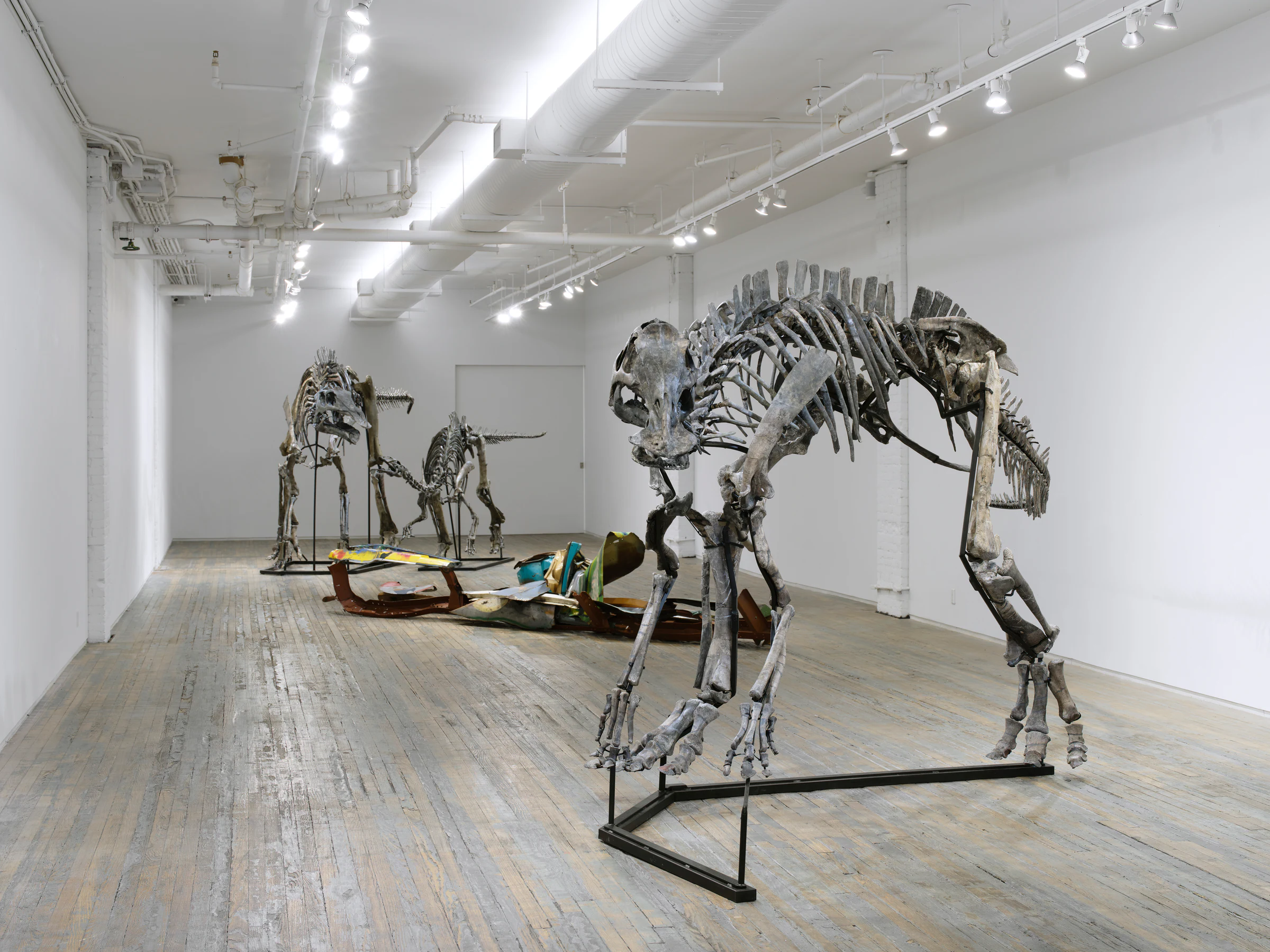 Land Before Time: Three Dinosaurs and a Gondola, installation view
