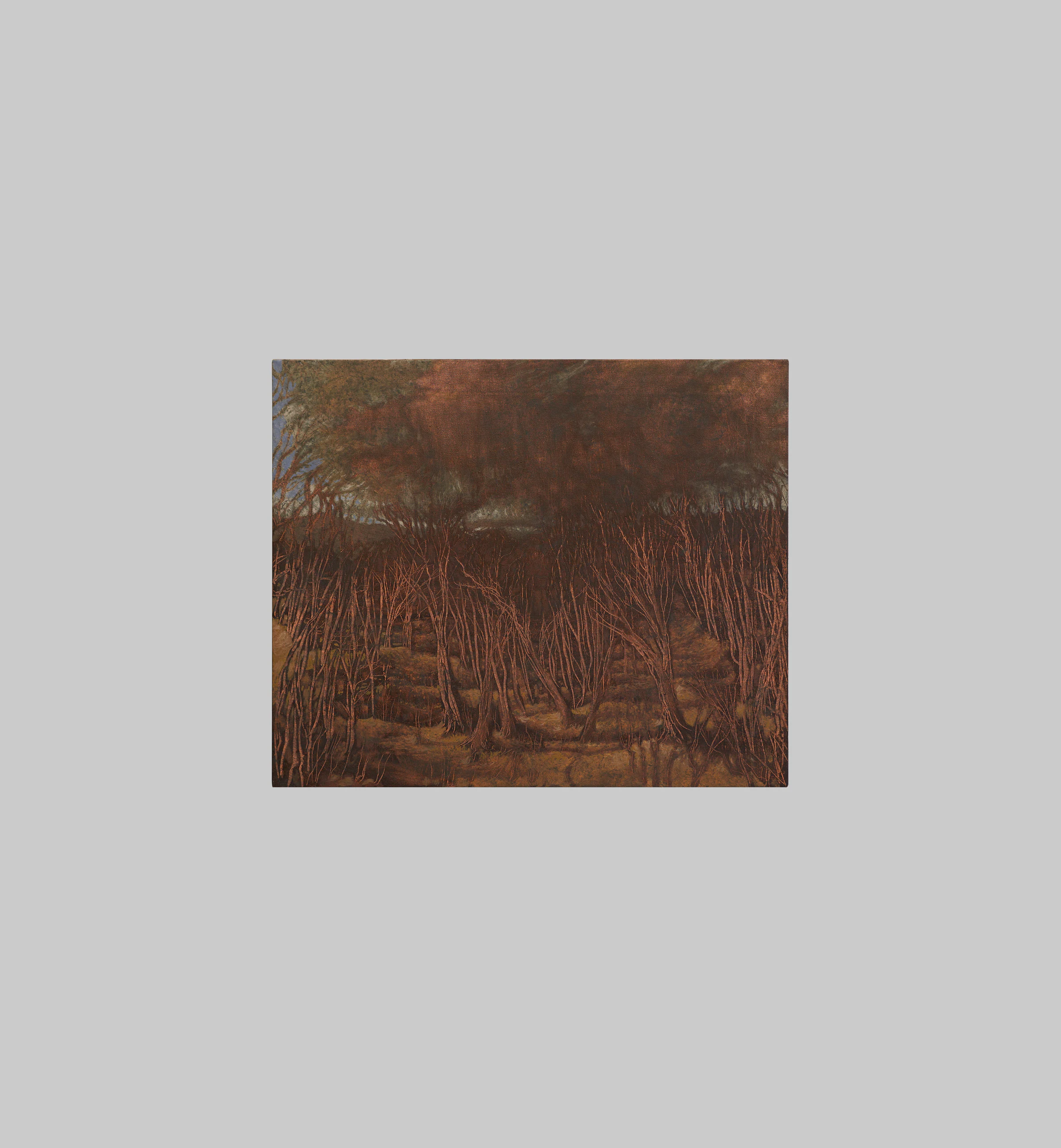 Francesco Cima, Echi di Tempesta, 2024, Oil on canvas, 19 11/16 x 23 5/8 in, 50 x 60 cm