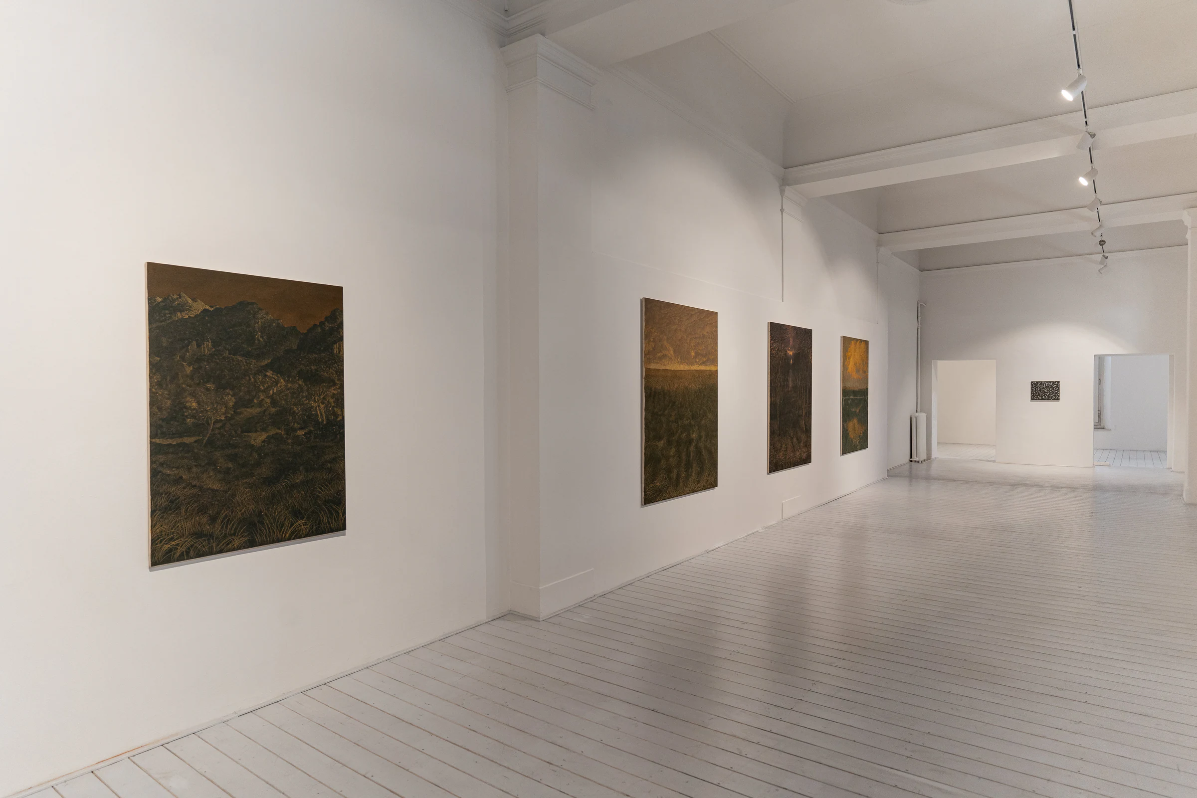 Francesco Cima: Chi Semina Vento, installation view
