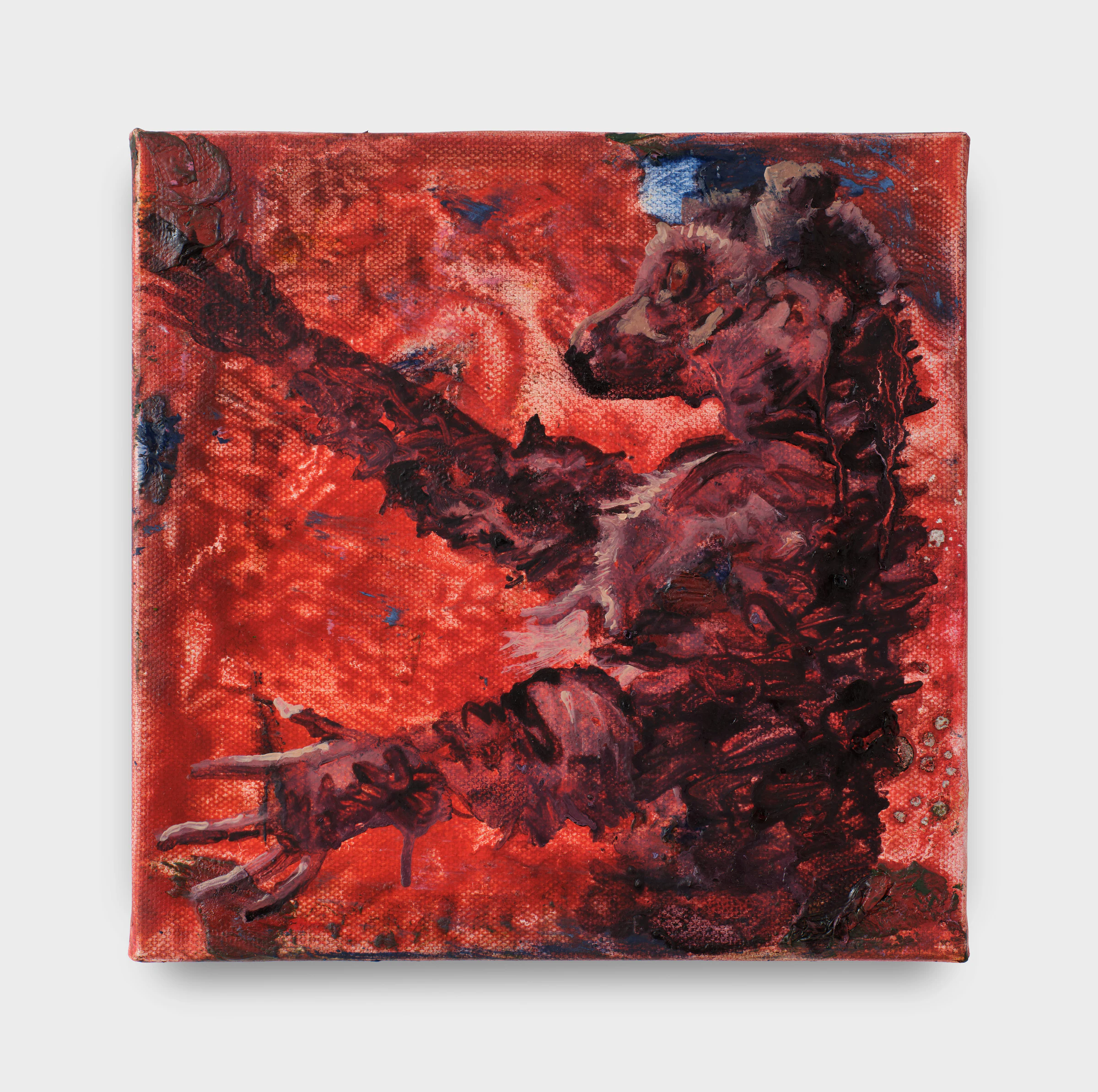 Adrian Schachter, Untitled (lemur), 2025, Acrylic, oil, and tempera on canvas, 8 x 8 in 20.3 x 20.3 cm