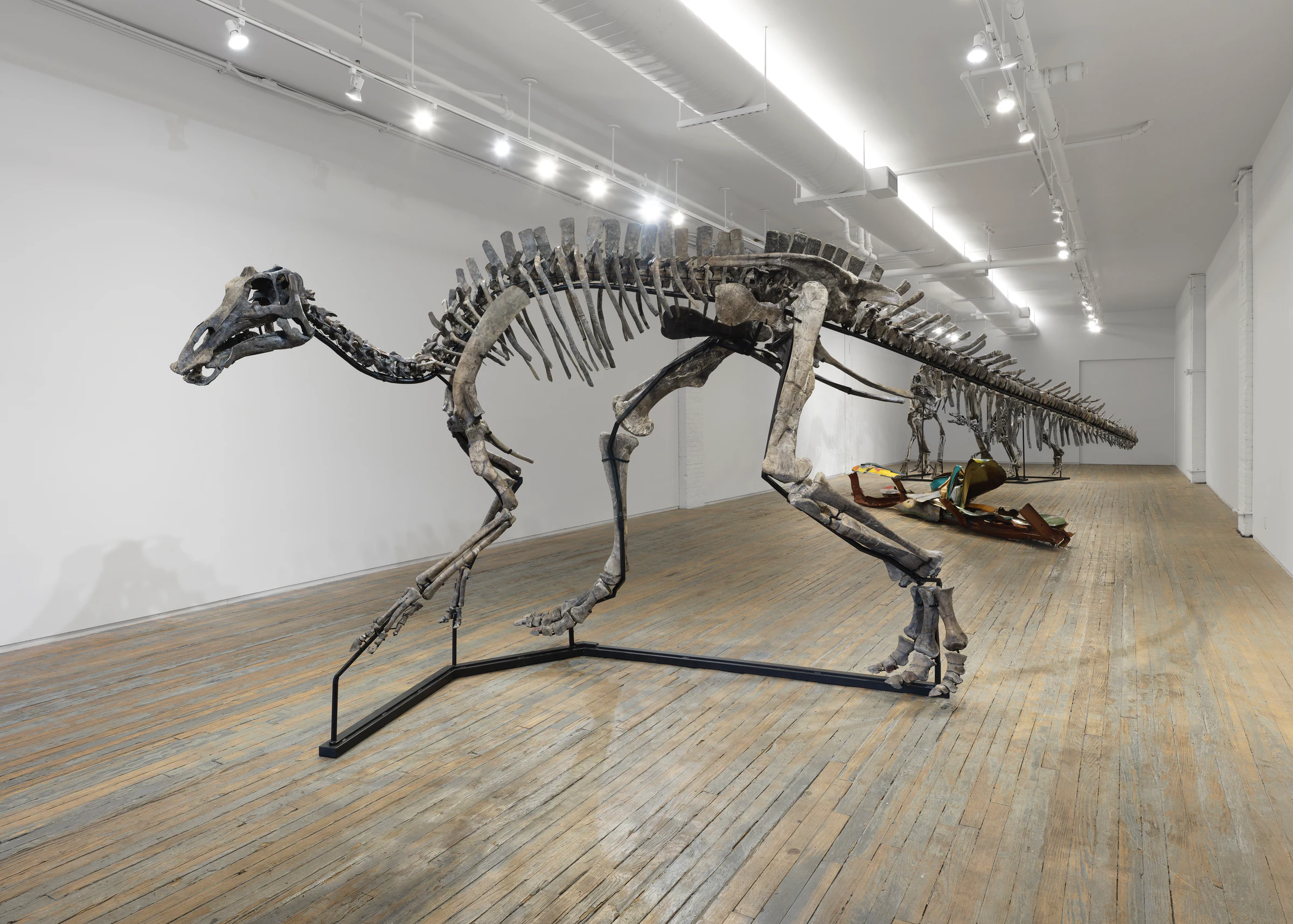 Land Before Time: Three Dinosaurs and a Gondola, installation view