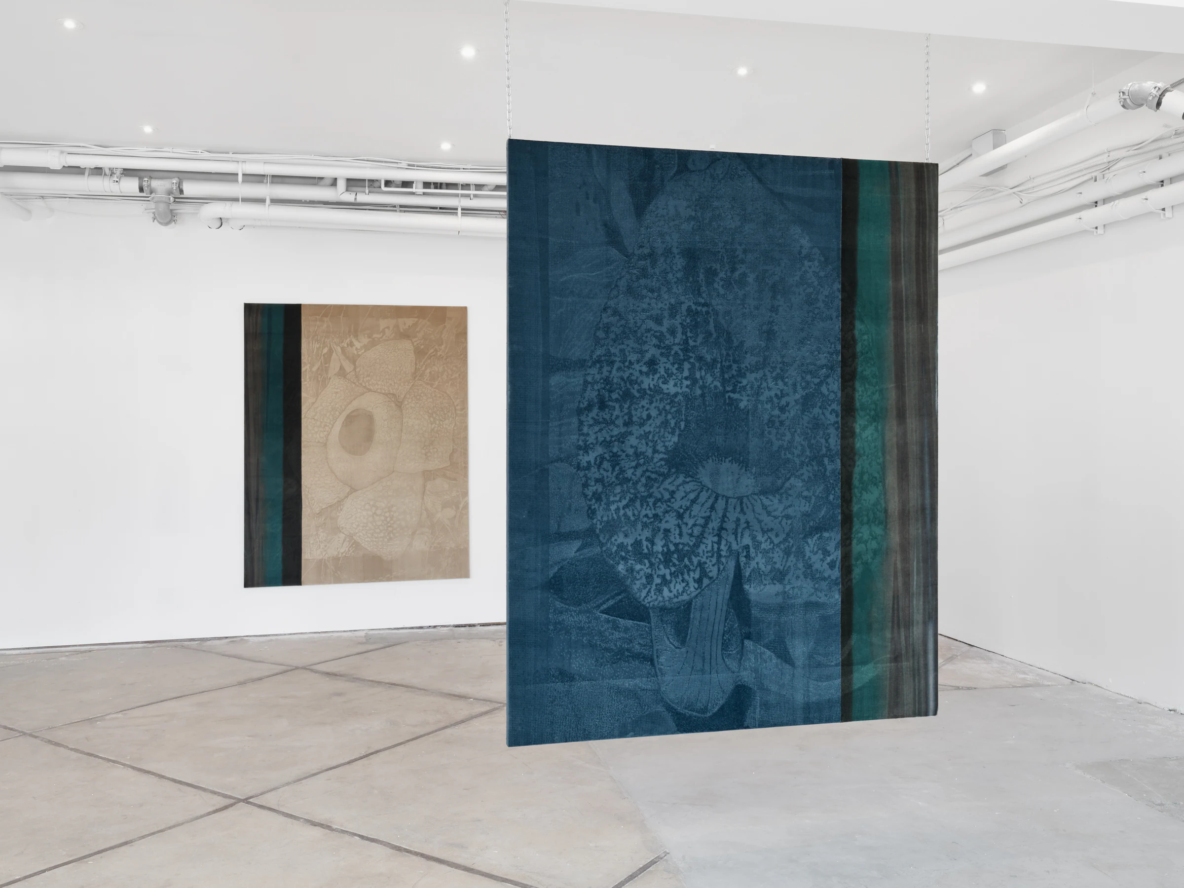 Leonardo Meoni: A Glimpse, Almost, installation view