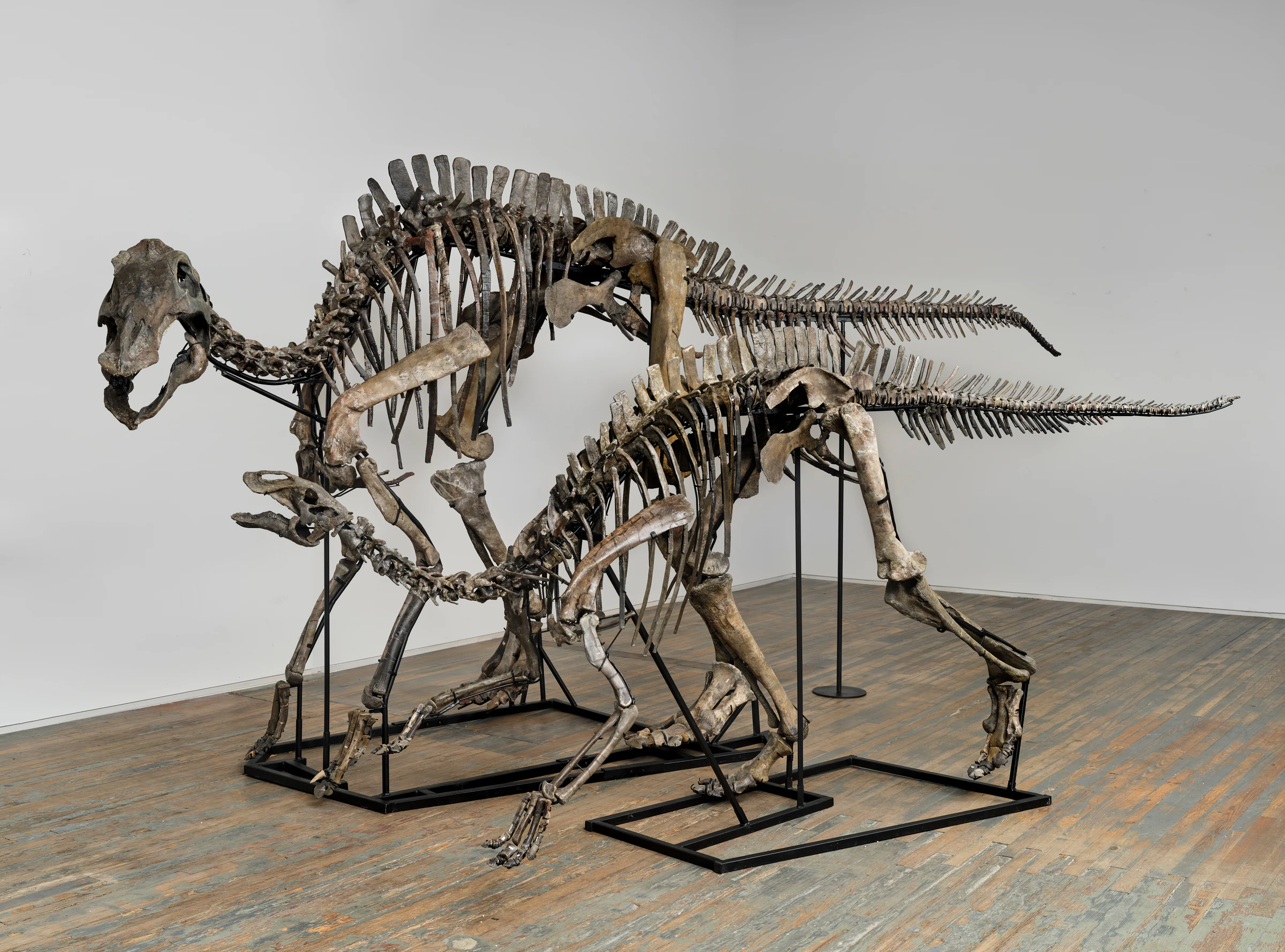 Land Before Time: Three Dinosaurs and a Gondola, installation view