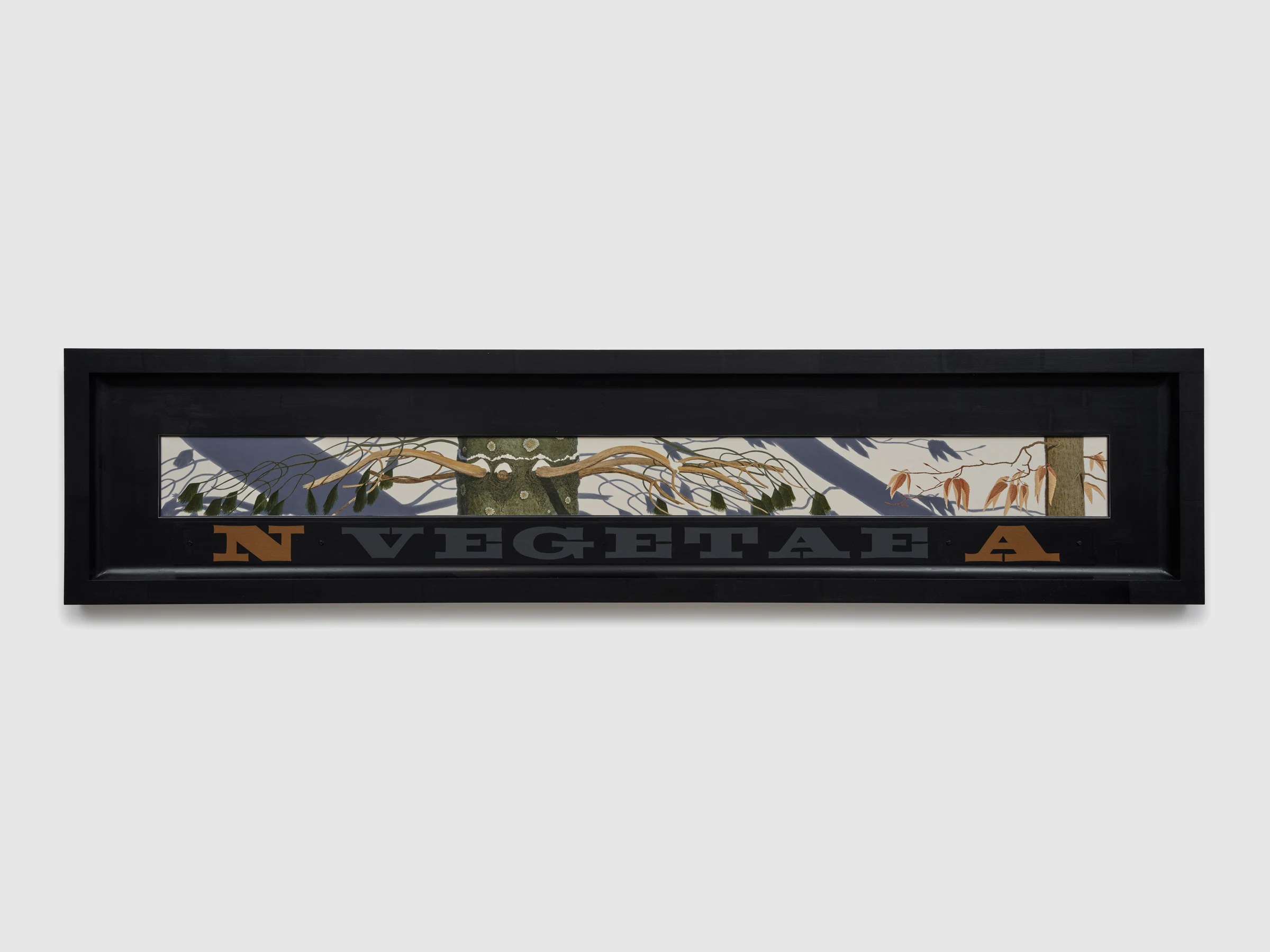 Neil Jenney, North America Vegetae, 2015, Oil on wood, in artist frame, 8 x 95 in 20 x 241 cm (unframed) 25 1/2 x 113 in 65 x 287 cm (framed)