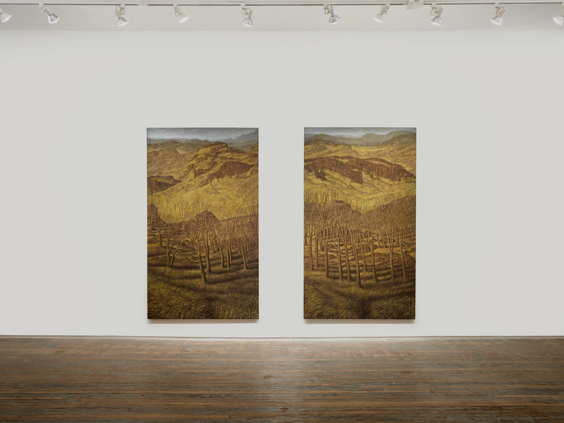 Francesco Cima, Radicofani (left), Termine (right), 2024, Oil on canvas, 94 1/2 x 55 1/8 in, 240 x 140 cm