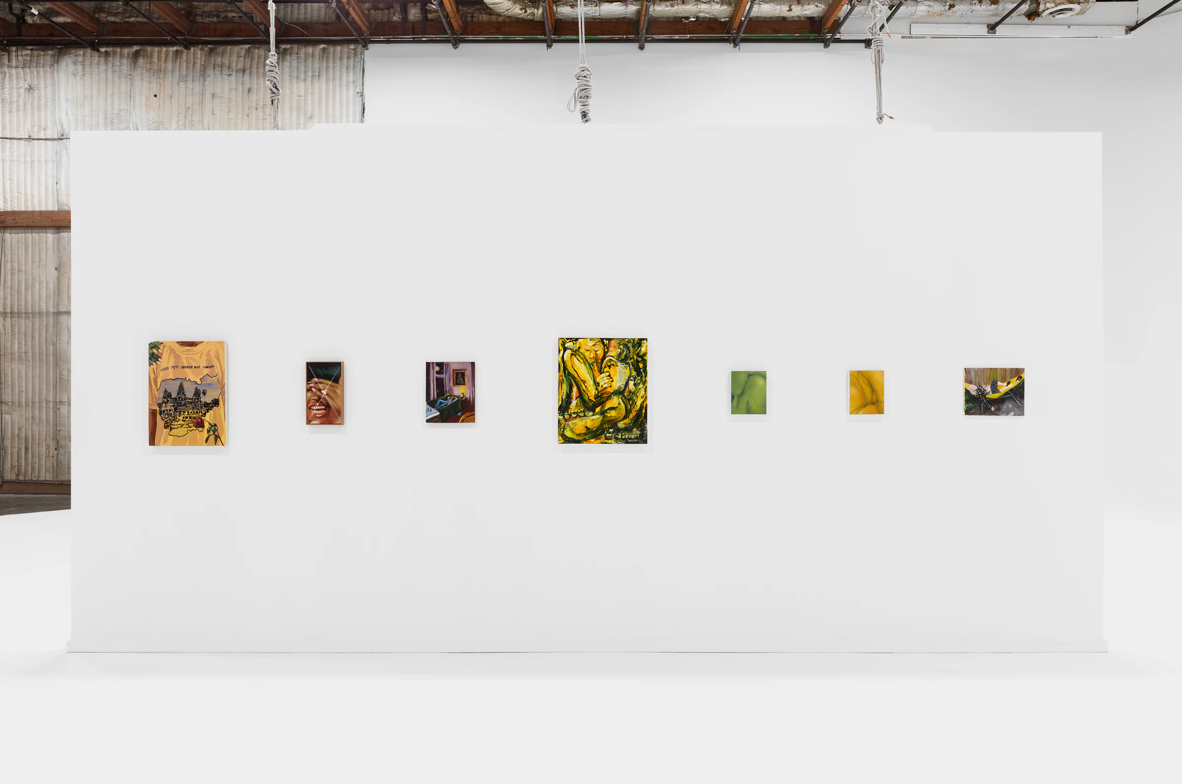 I Do My Own Stunts, installation view