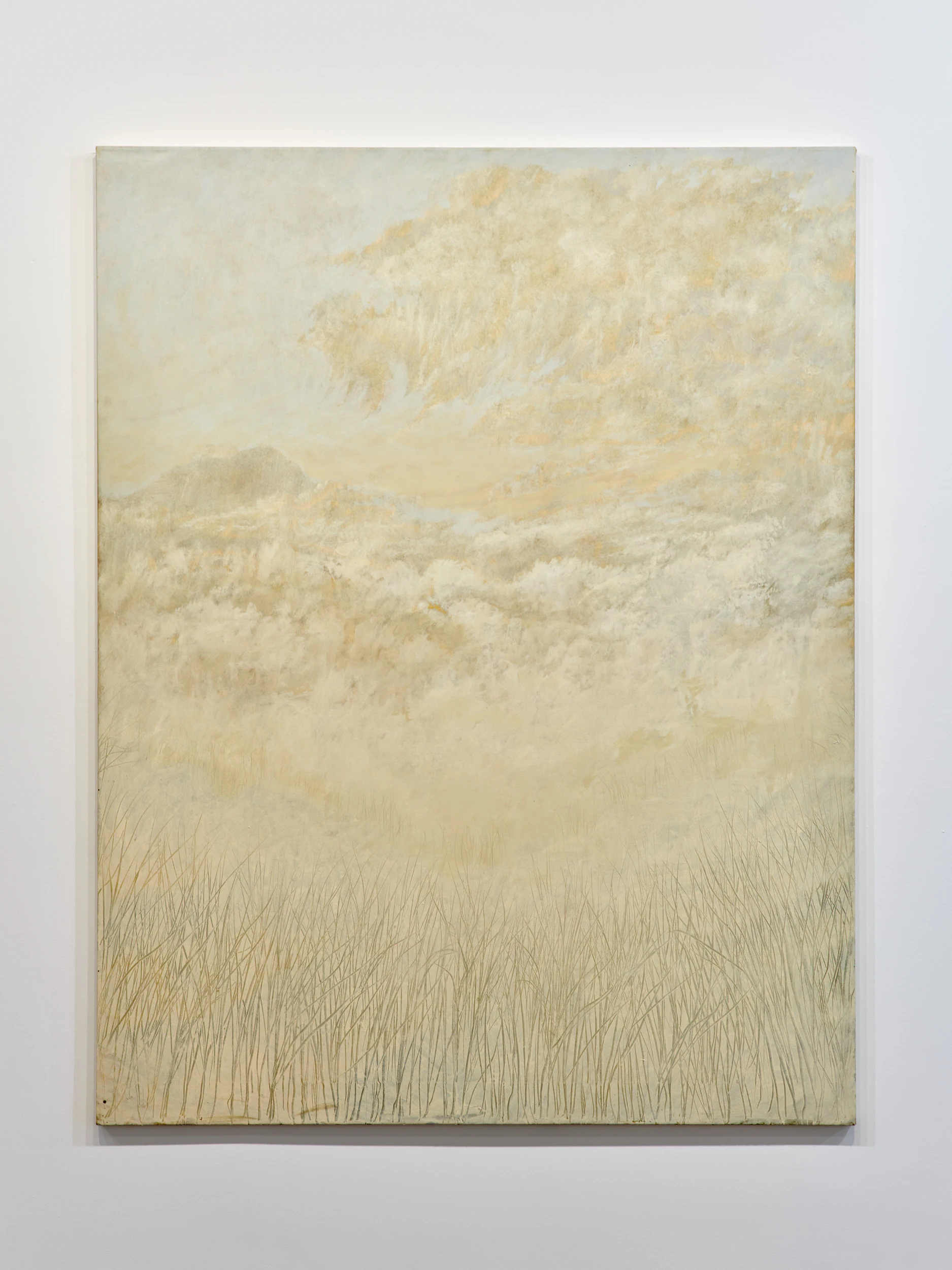 Francesco Cima, Vola, 2024, Oil on canvas, 70 7/8 x 55 1/8 in, 180 x 140 cm