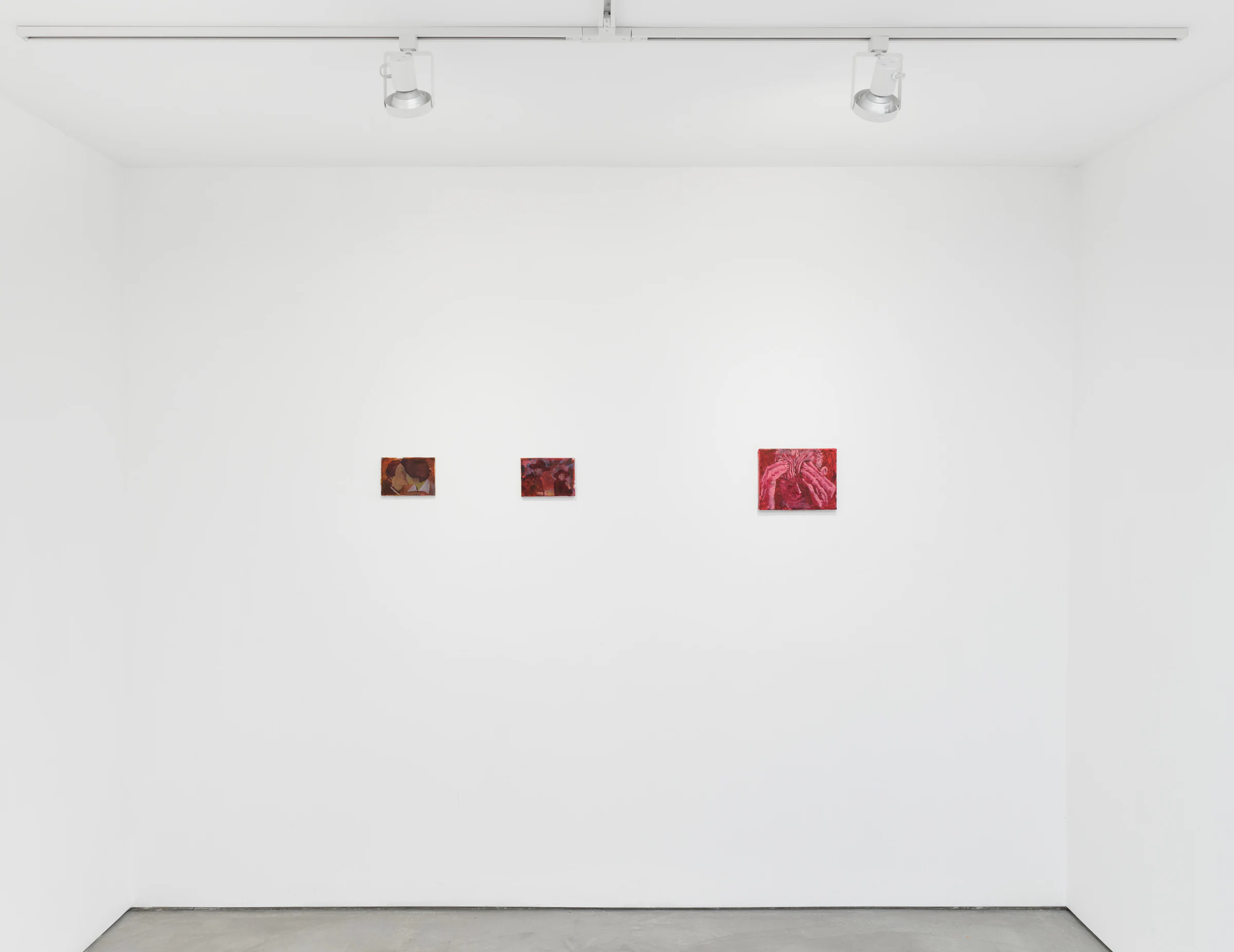 Adrian Schachter: I'm drawn that way, installation view