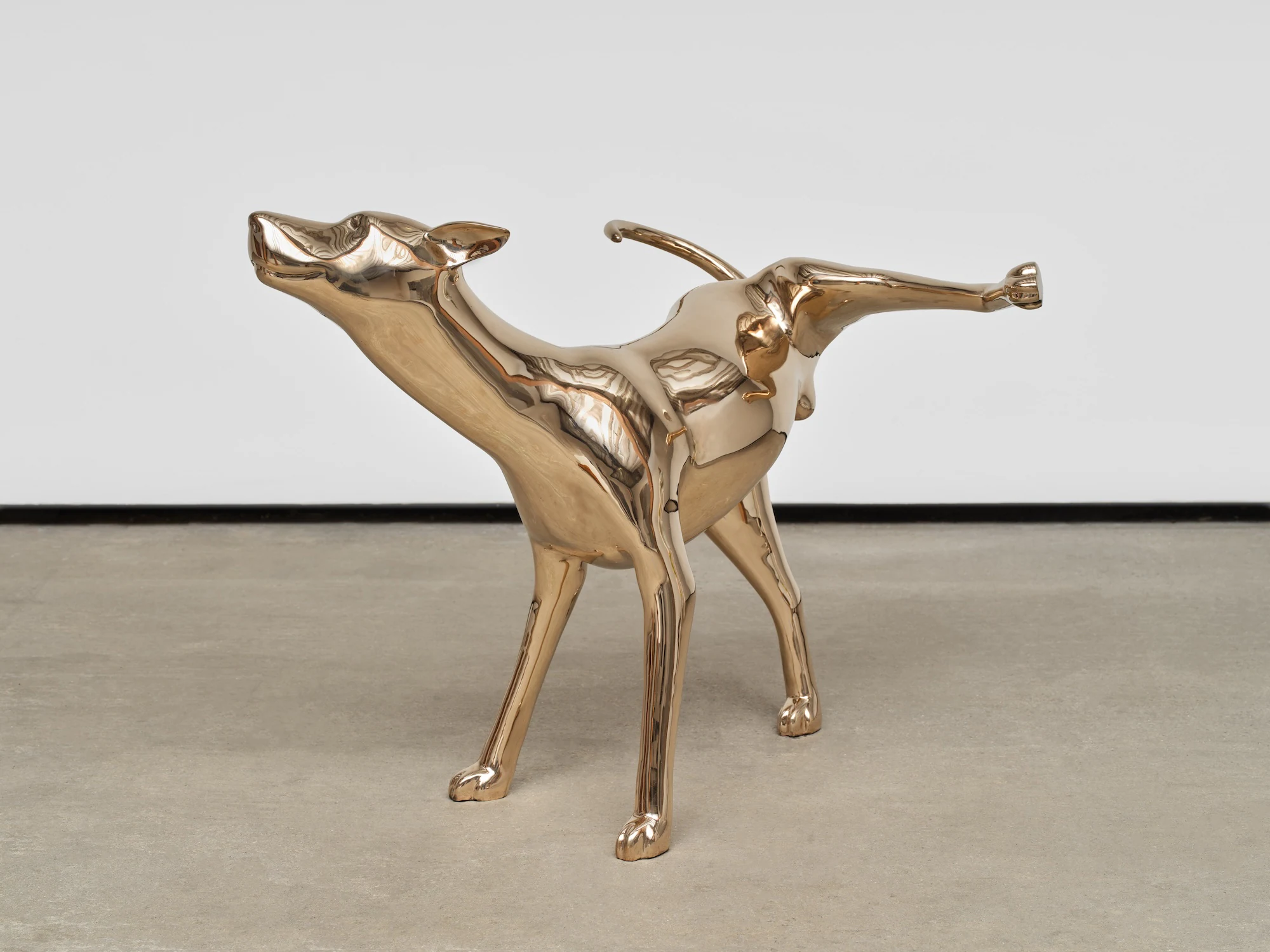 Yves Scherer, Doggie, 2025, Polished bronze, 35 x 29 1/2 x 29 3/4 in, 89 x 75 x 75.5 cm