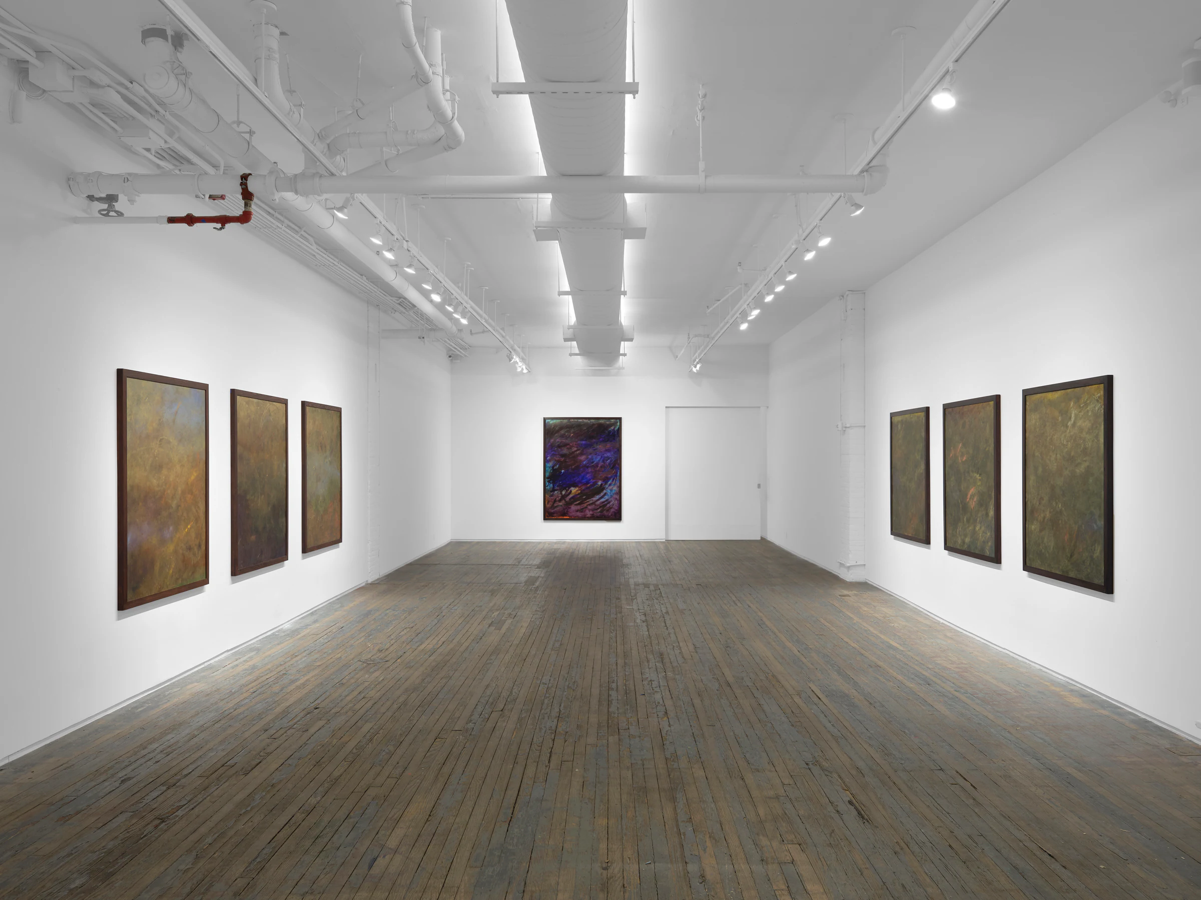 Nicholas Campbell: Paradise, installation view