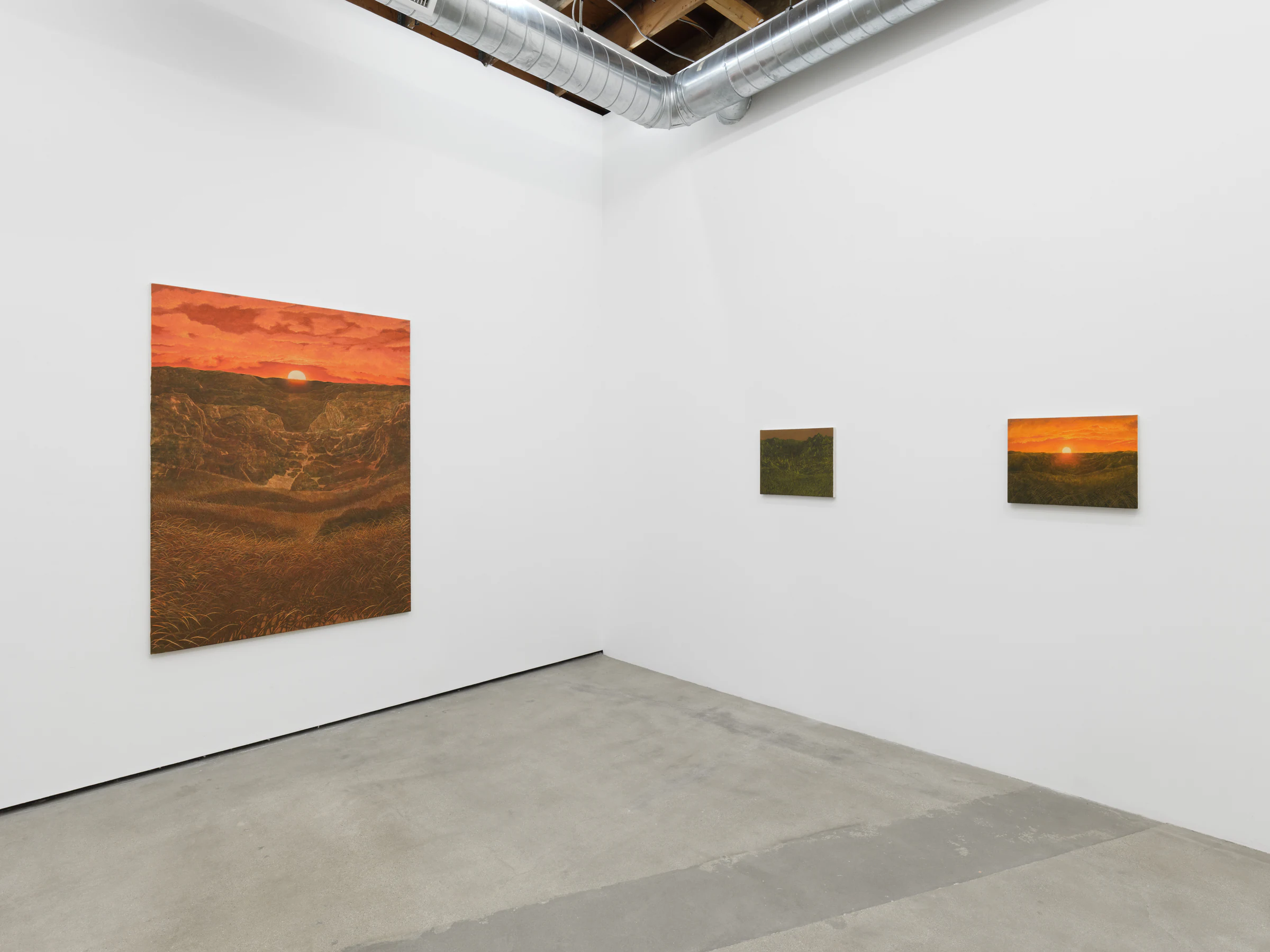 Francesco Cima: Ladra Terra, installation view