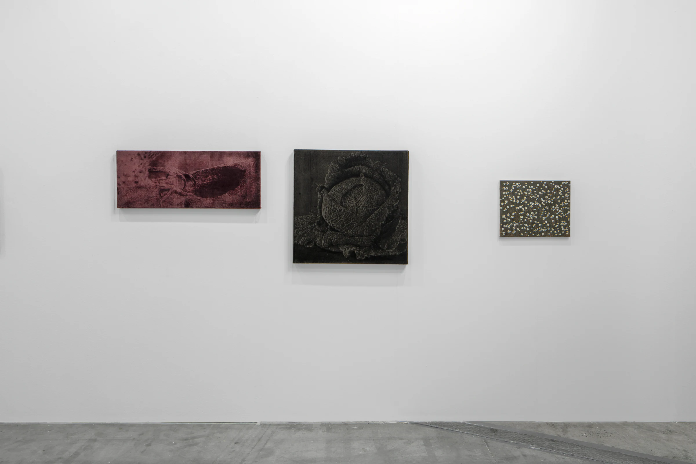 Adrian Schachter & Francesco Cima & Leonardo Meoni & Marco Scarpi: Artissima 2024, installation view