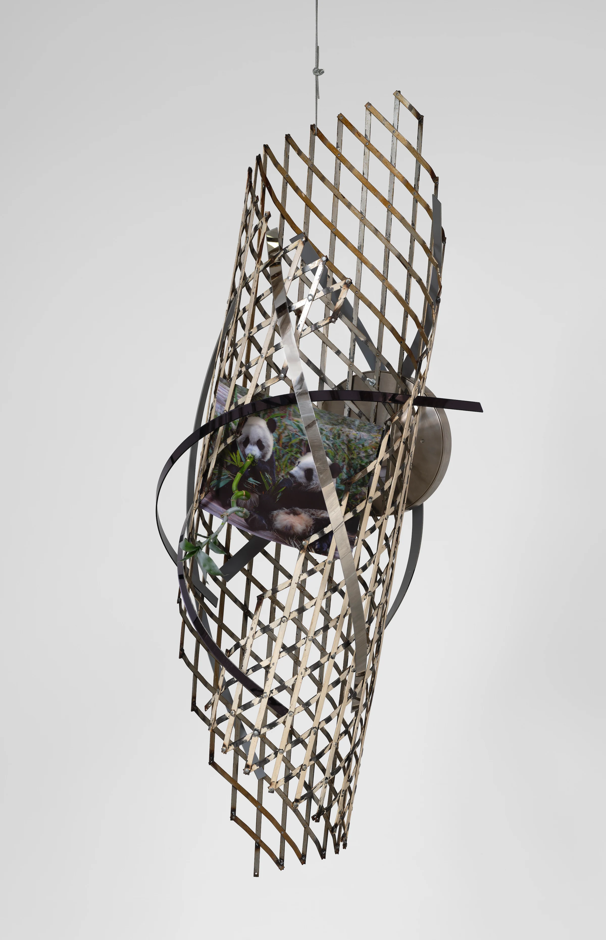 Louis Osmosis, Centrifugal Pickle #5 (Fly Trap), 2026, Modified scissor gate, lenticular print, clock, plastic, spraypaint, lucky bamboo, polyurethane, hardware
