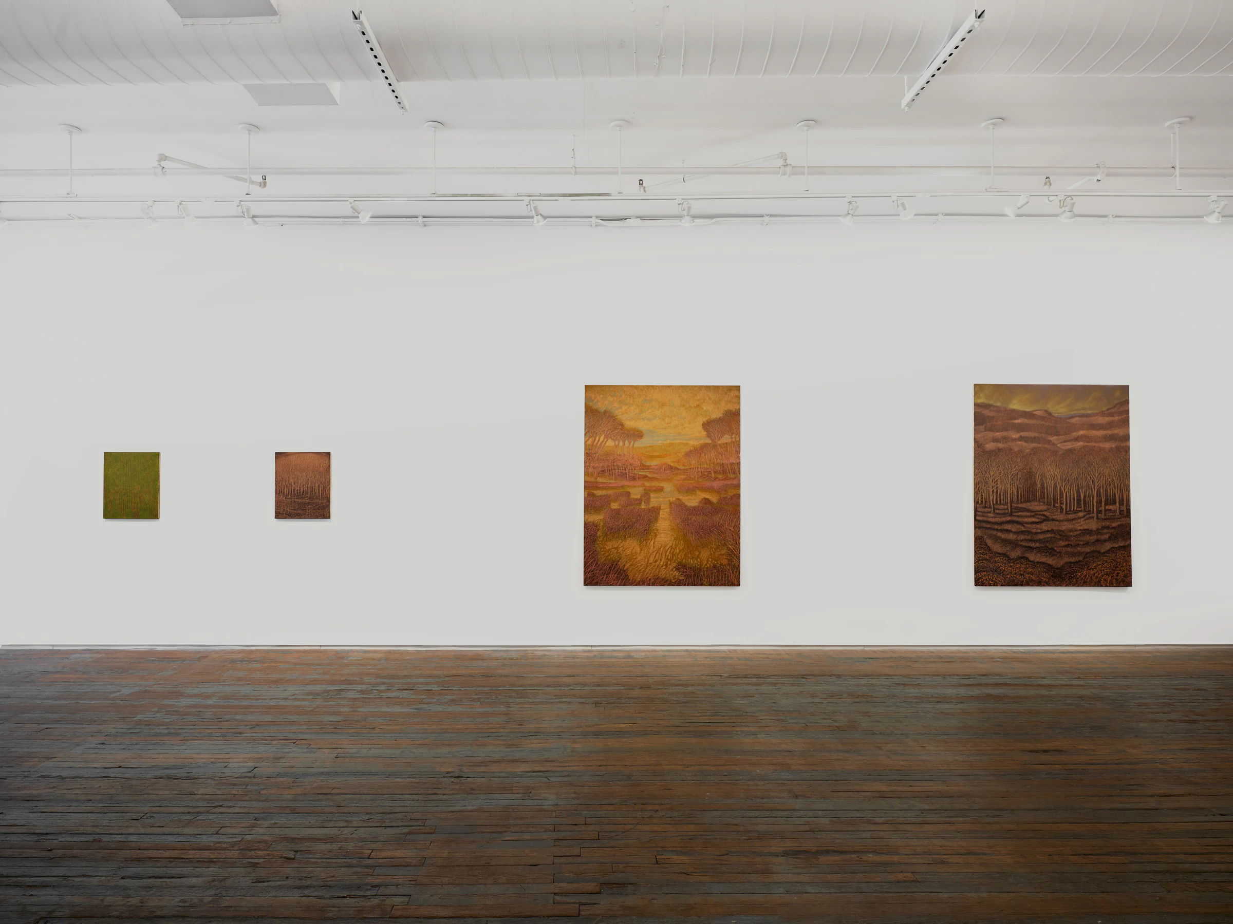 Francesco Cima: Vedrai, vedrai, installation view