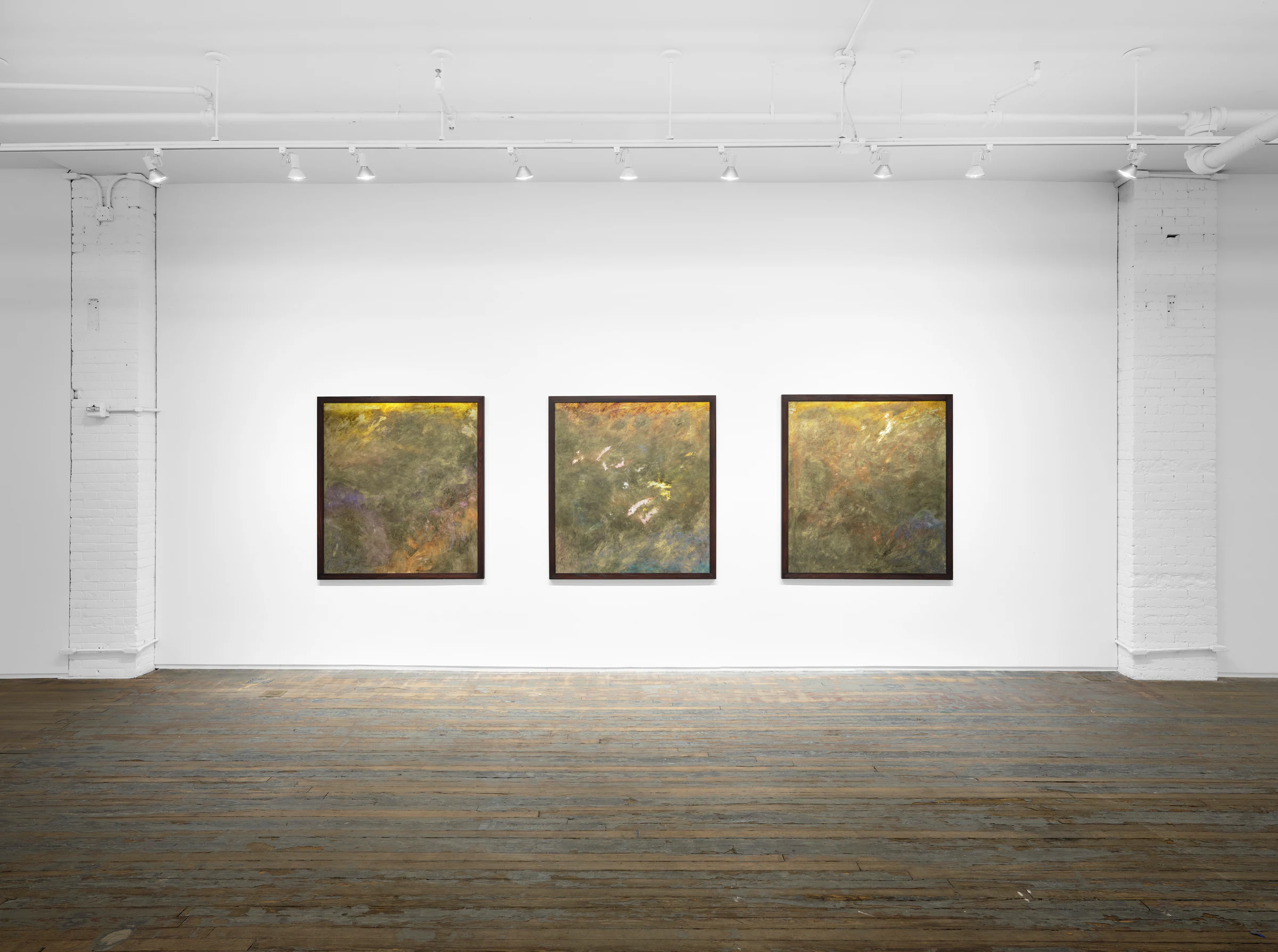 Nicholas Campbell: Paradise, installation view