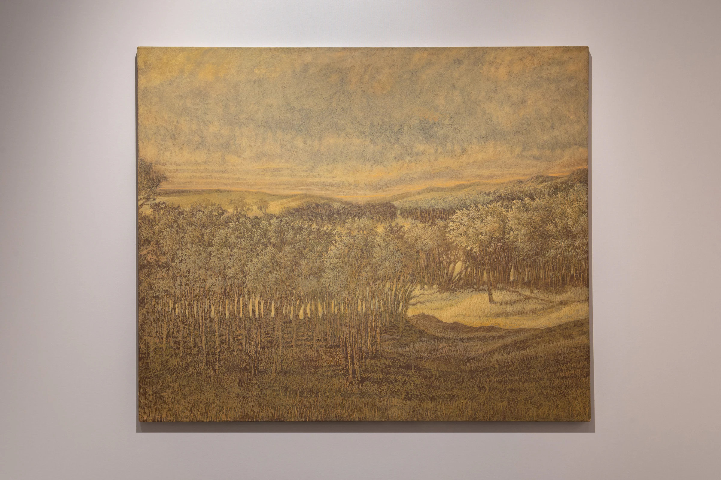 Francesco Cima, Etruria, 2025, oil on canvas, 39 3/8 x 47 1/4 in 100 x 120 cm