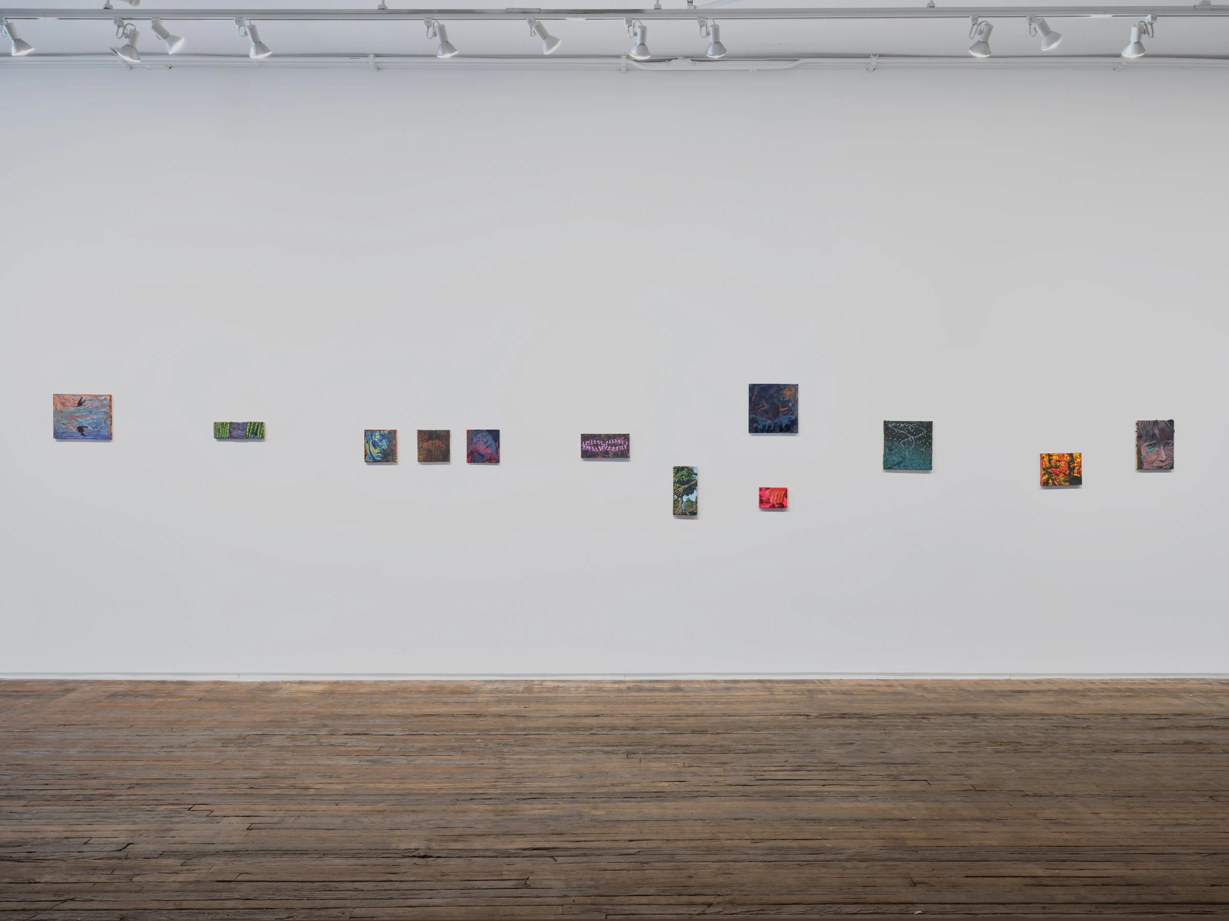 Adrian Schachter: Apples & Oranges, installation view