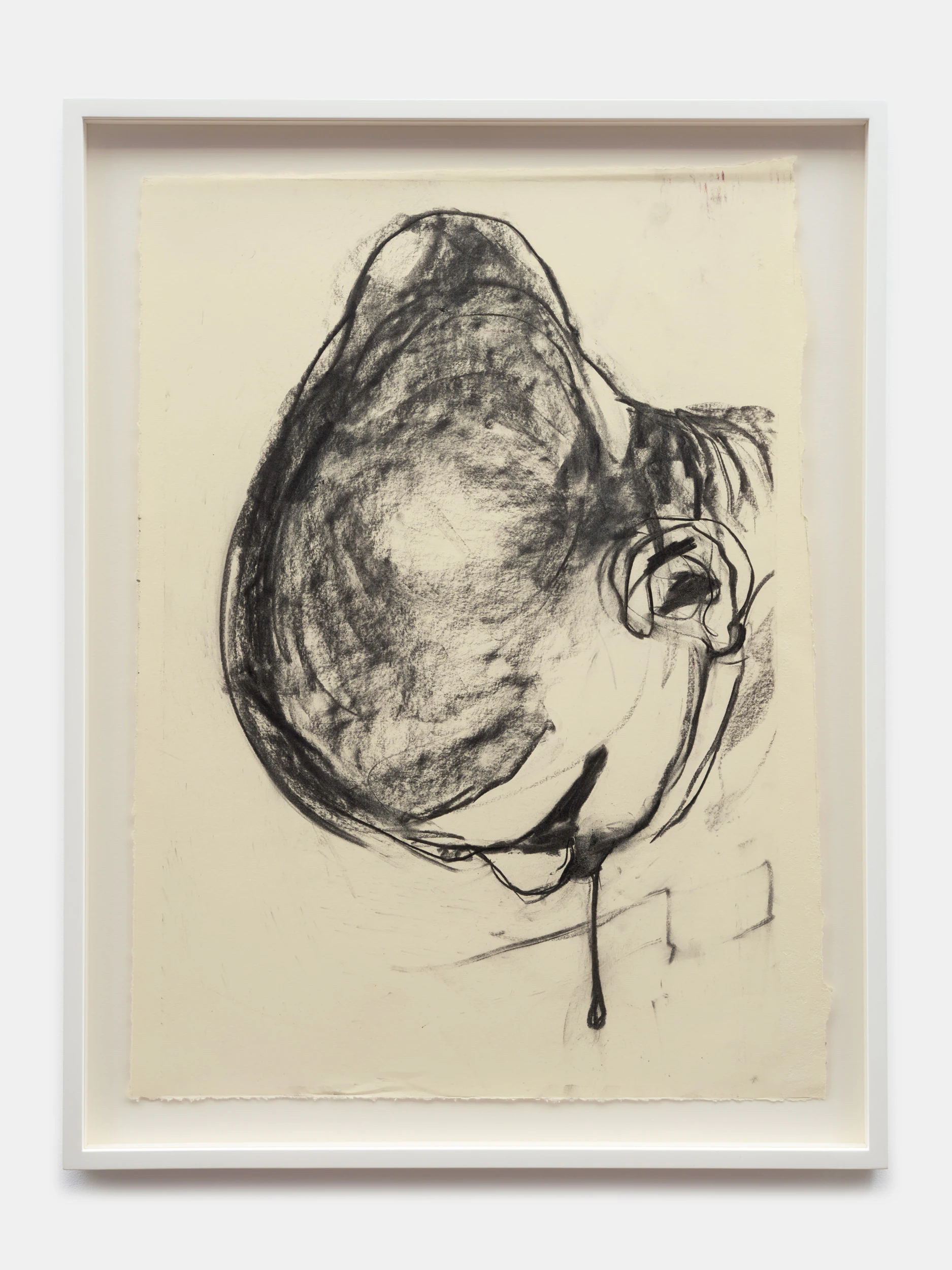 Mercedes Llanos, Birth, 2024, Charcoal on paper, 25 1/2 x 19 in 64.8 x 48.3 cm (unframed) 29 1/2 x 22 1/2