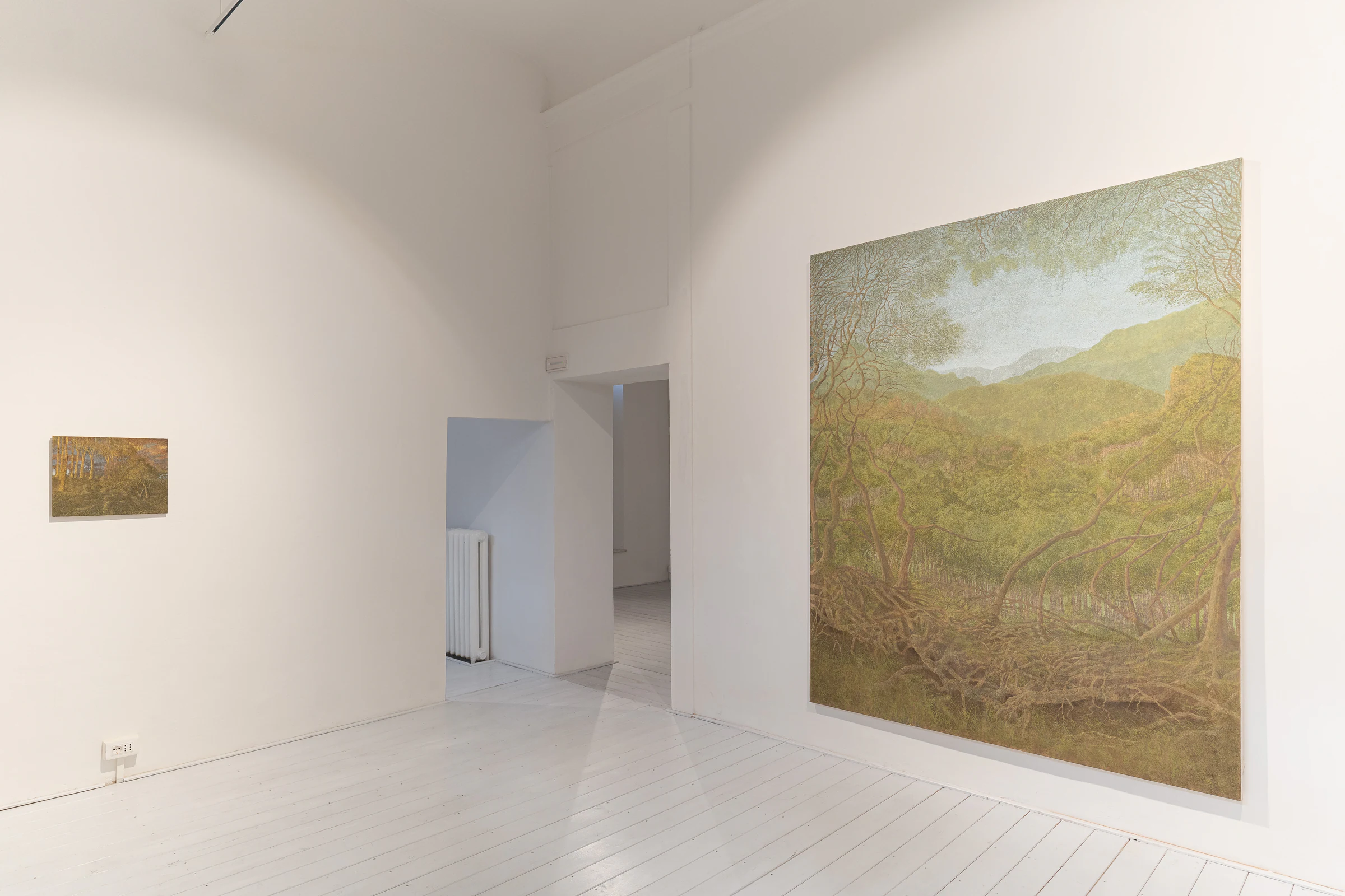 Francesco Cima: Chi Semina Vento, installation view