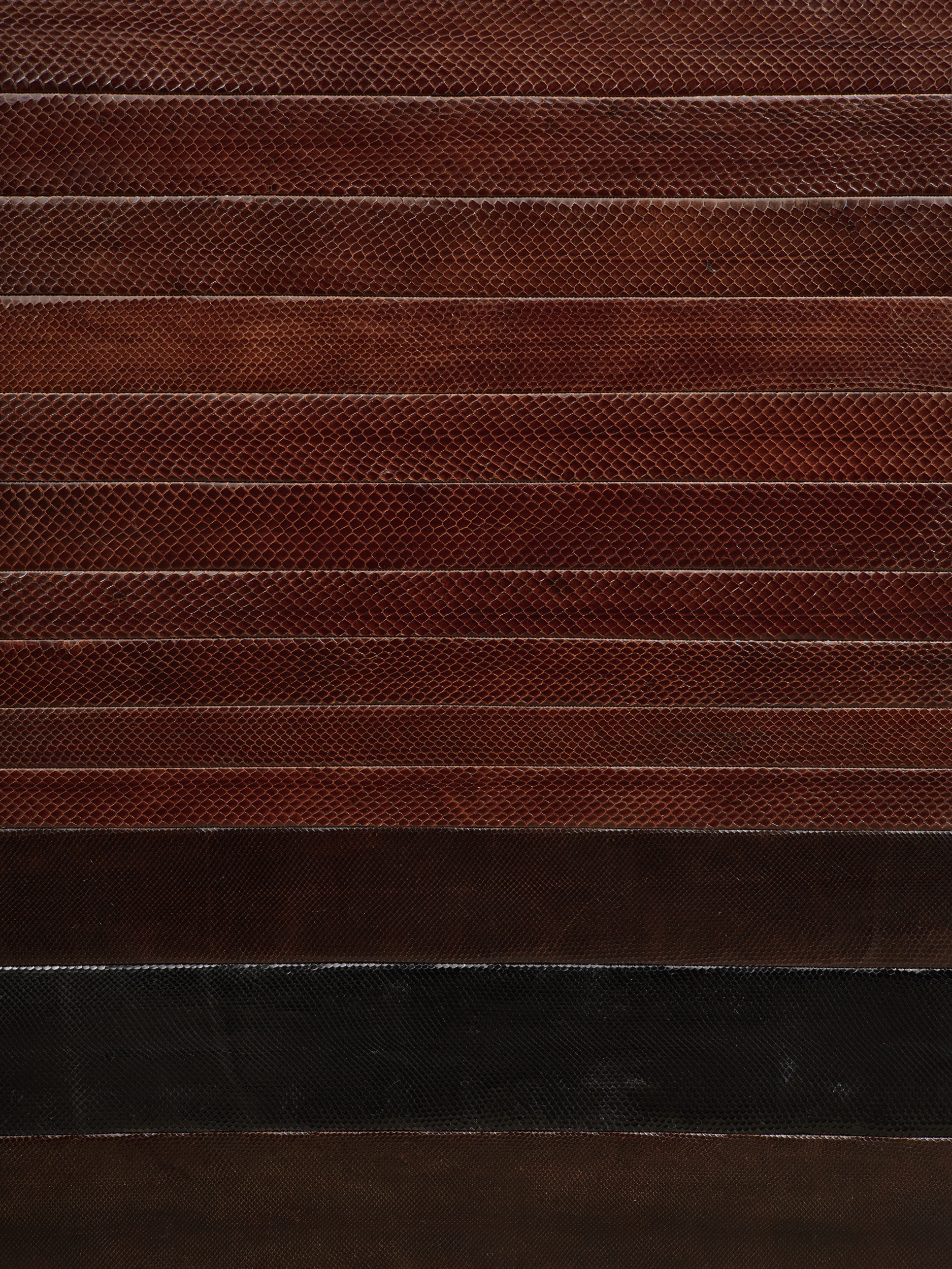 P.A.I.C.A.P., detail shot