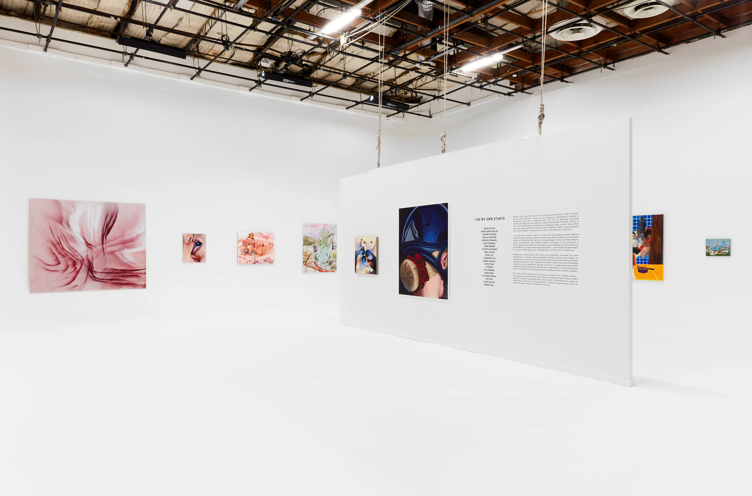 I Do My Own Stunts, installation view