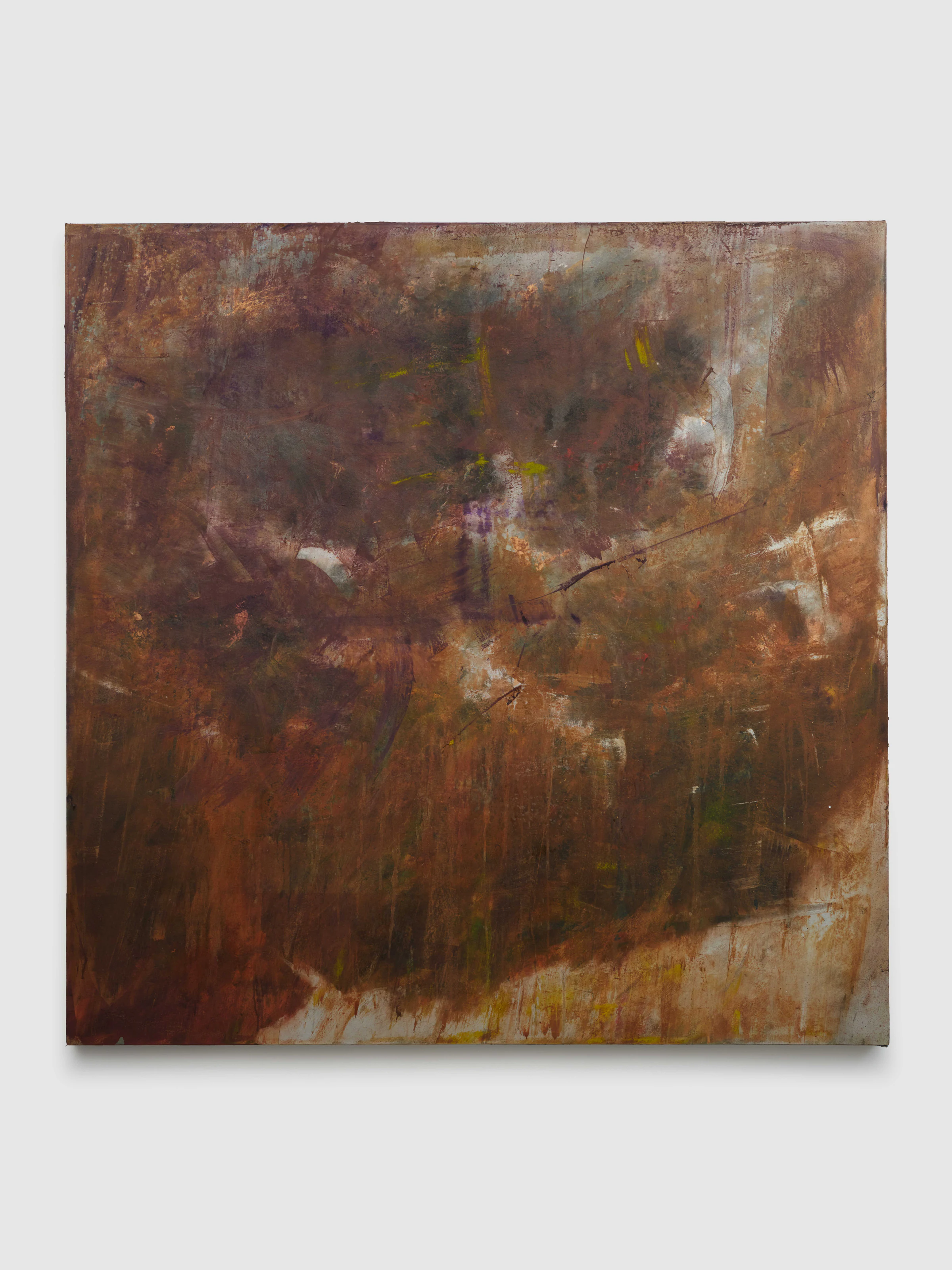 Nicholas Campbell, World Honored One, 2024, Oil on canvas, 72 x 72 in 183 x 183 cm