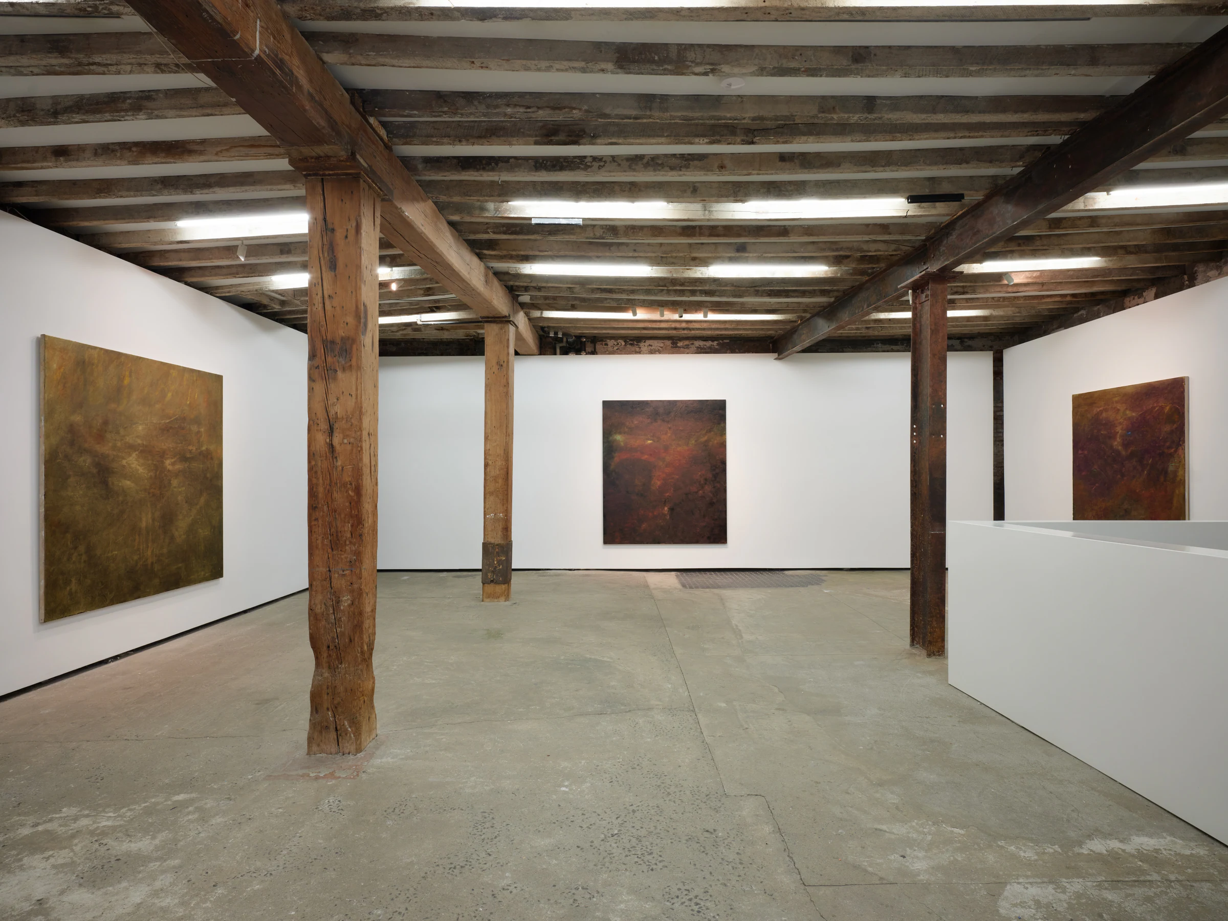 Nicholas Campbell: World-Honored One, installation view