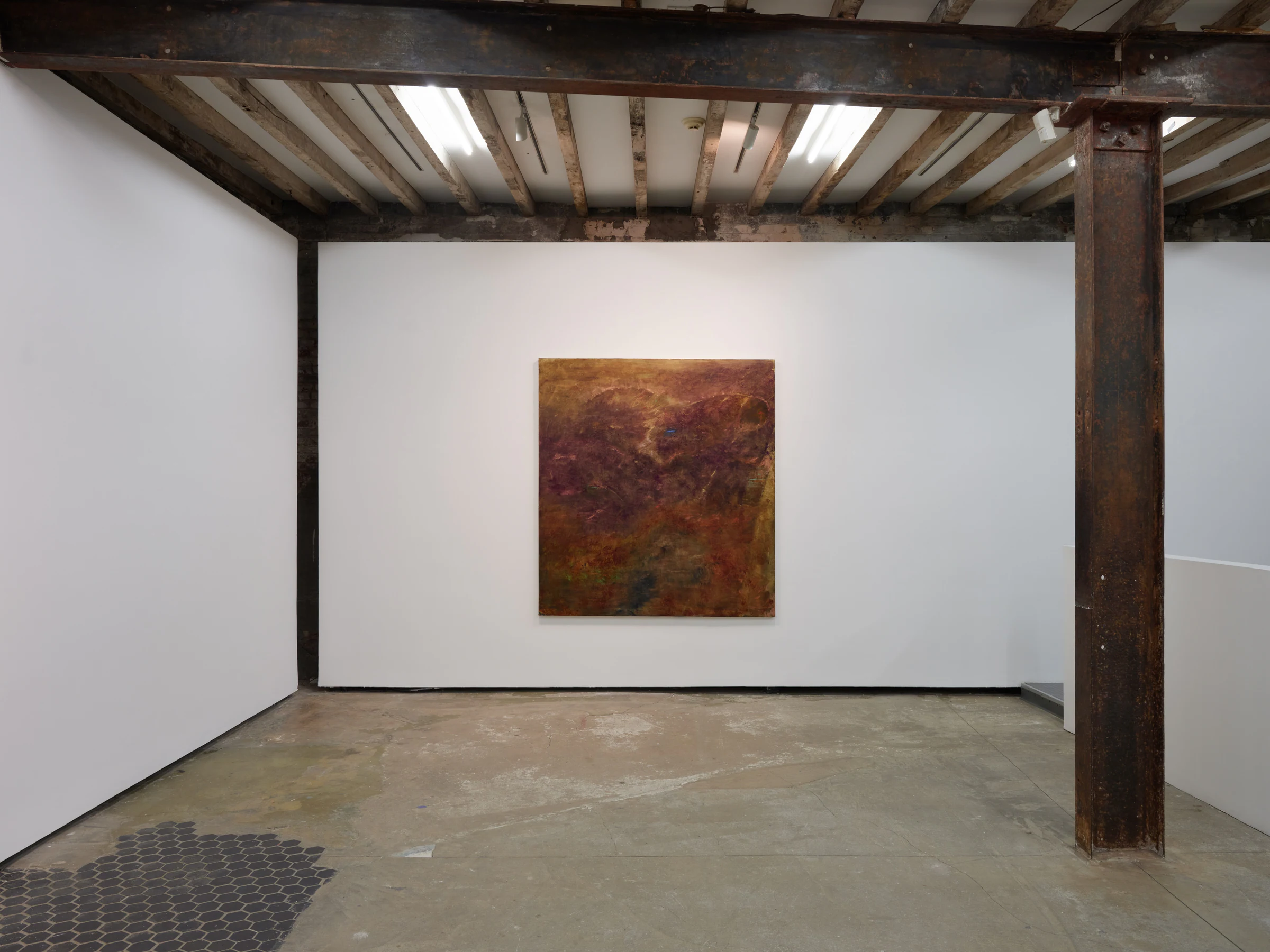 Nicholas Campbell: World-Honored One, installation view