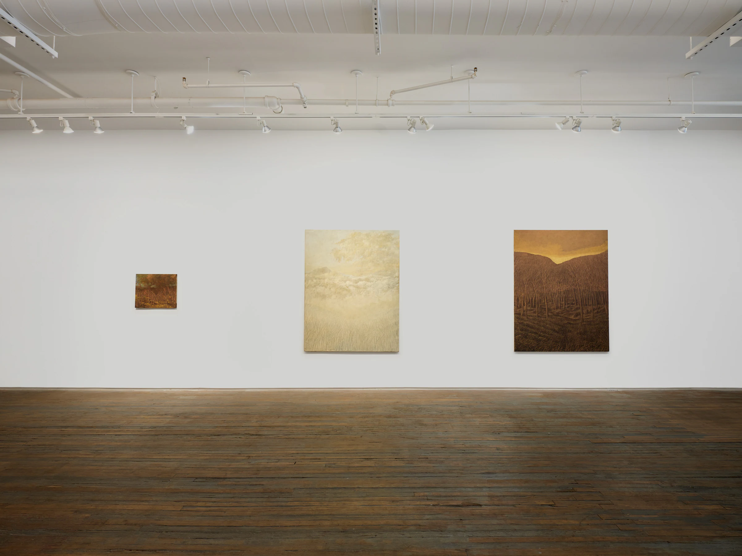 Francesco Cima: Vedrai, vedrai, installation view