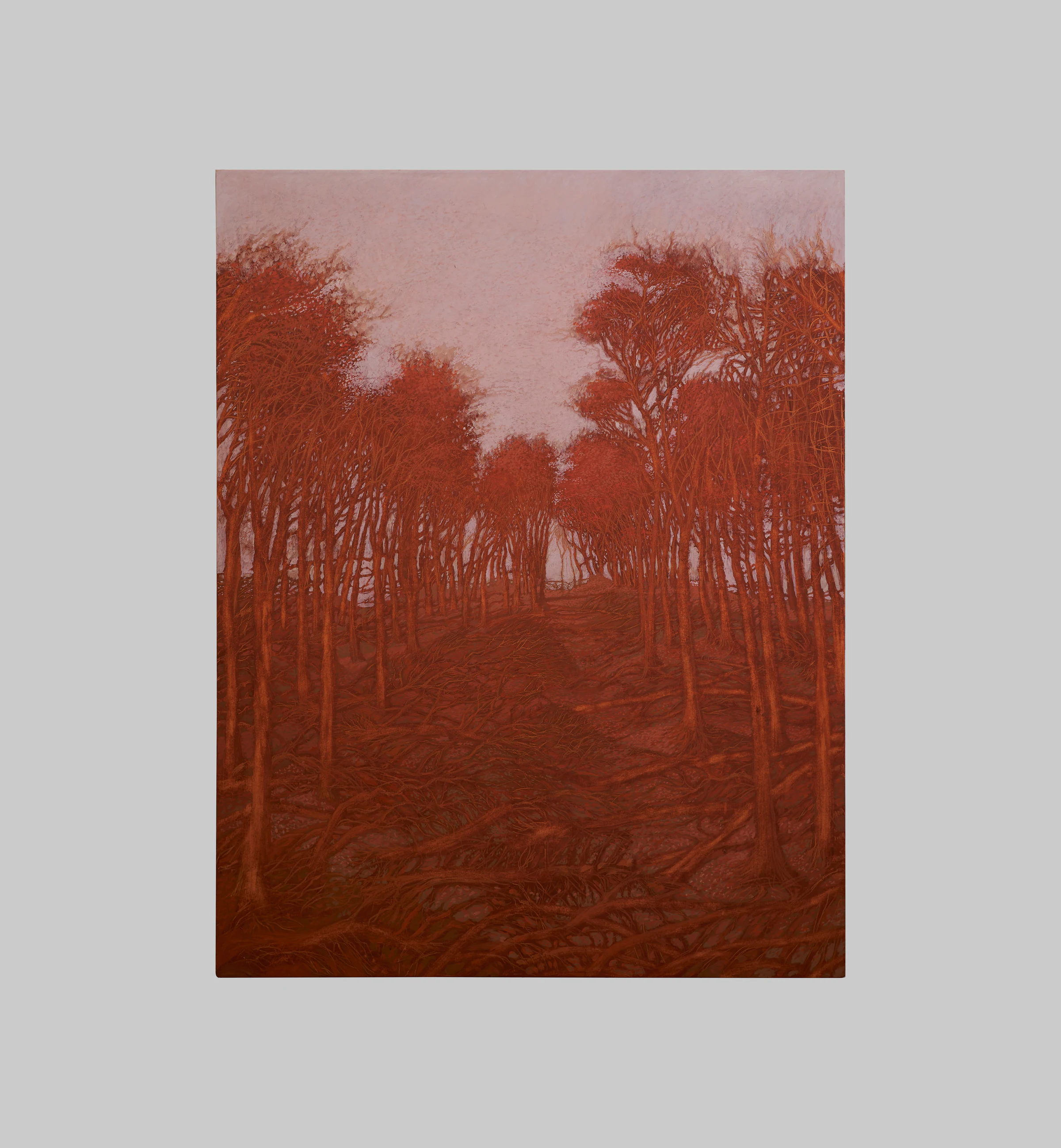 Francesco Cima, Lamina Rossa, 2024, Oil on canvas, 70 7/8 x 55 1/8 in, 180 x 140 cm